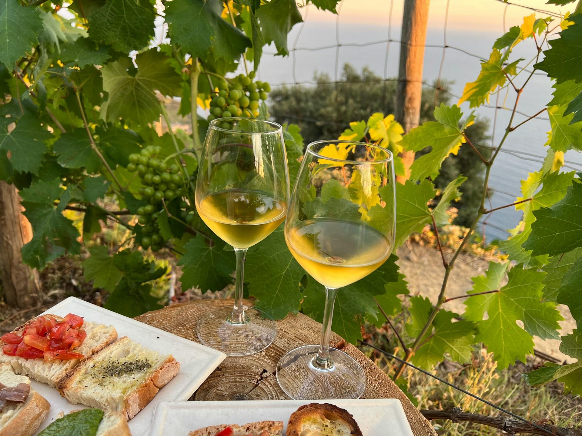 vinos italianos con comida tipica