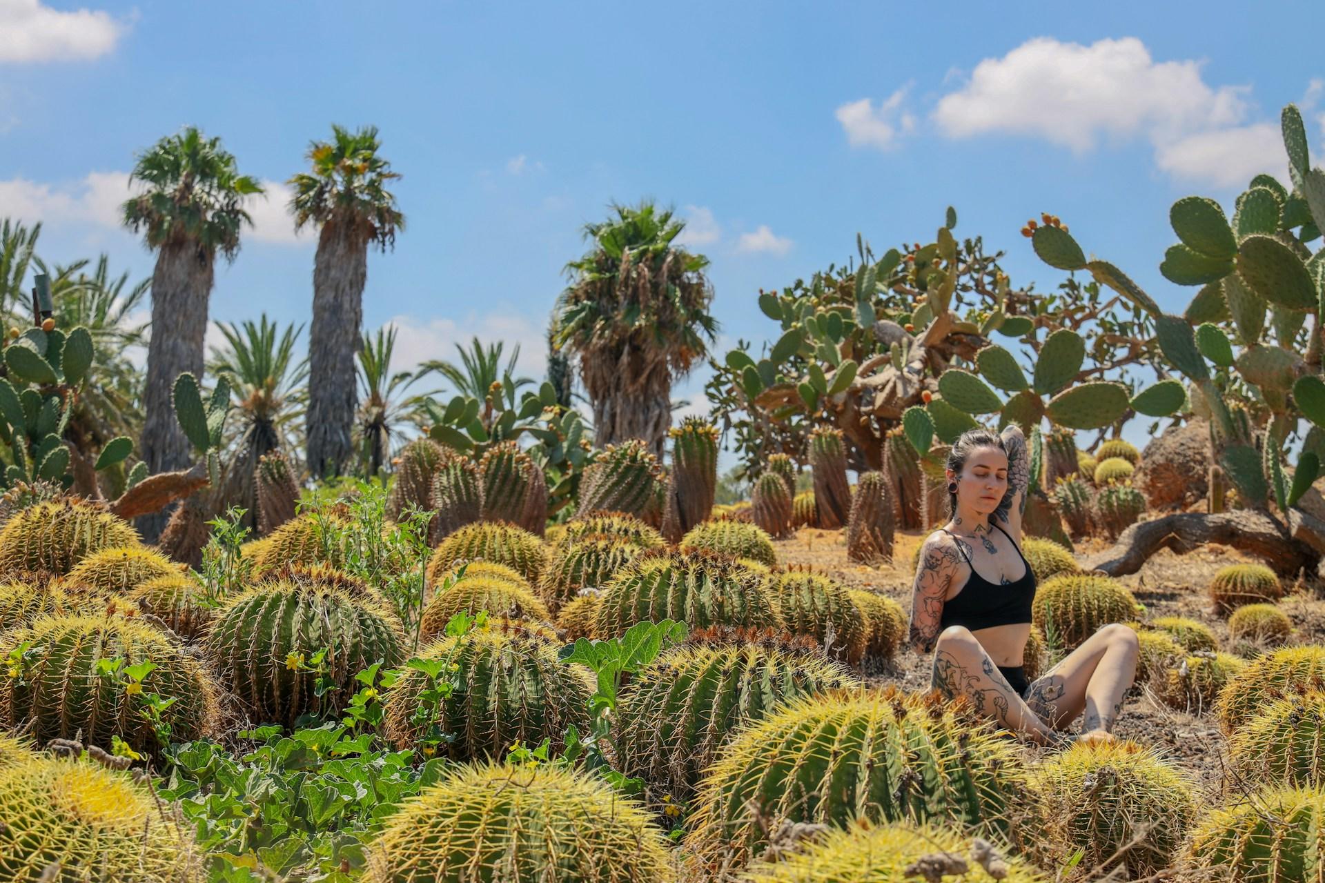 persona haciendo yoga en medio de cactus