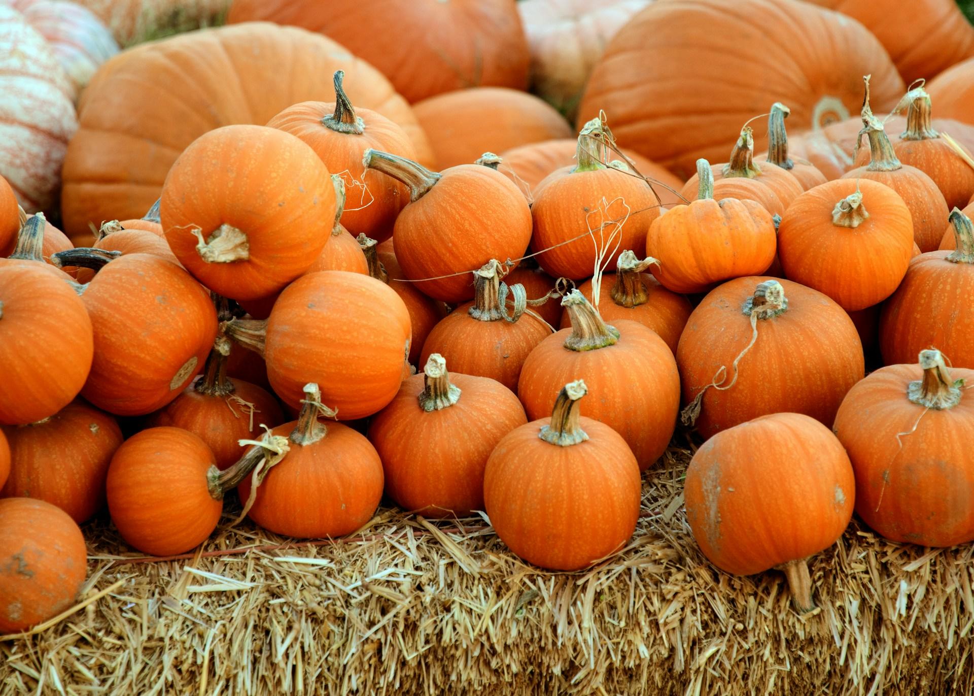 Calabazas de Halloween