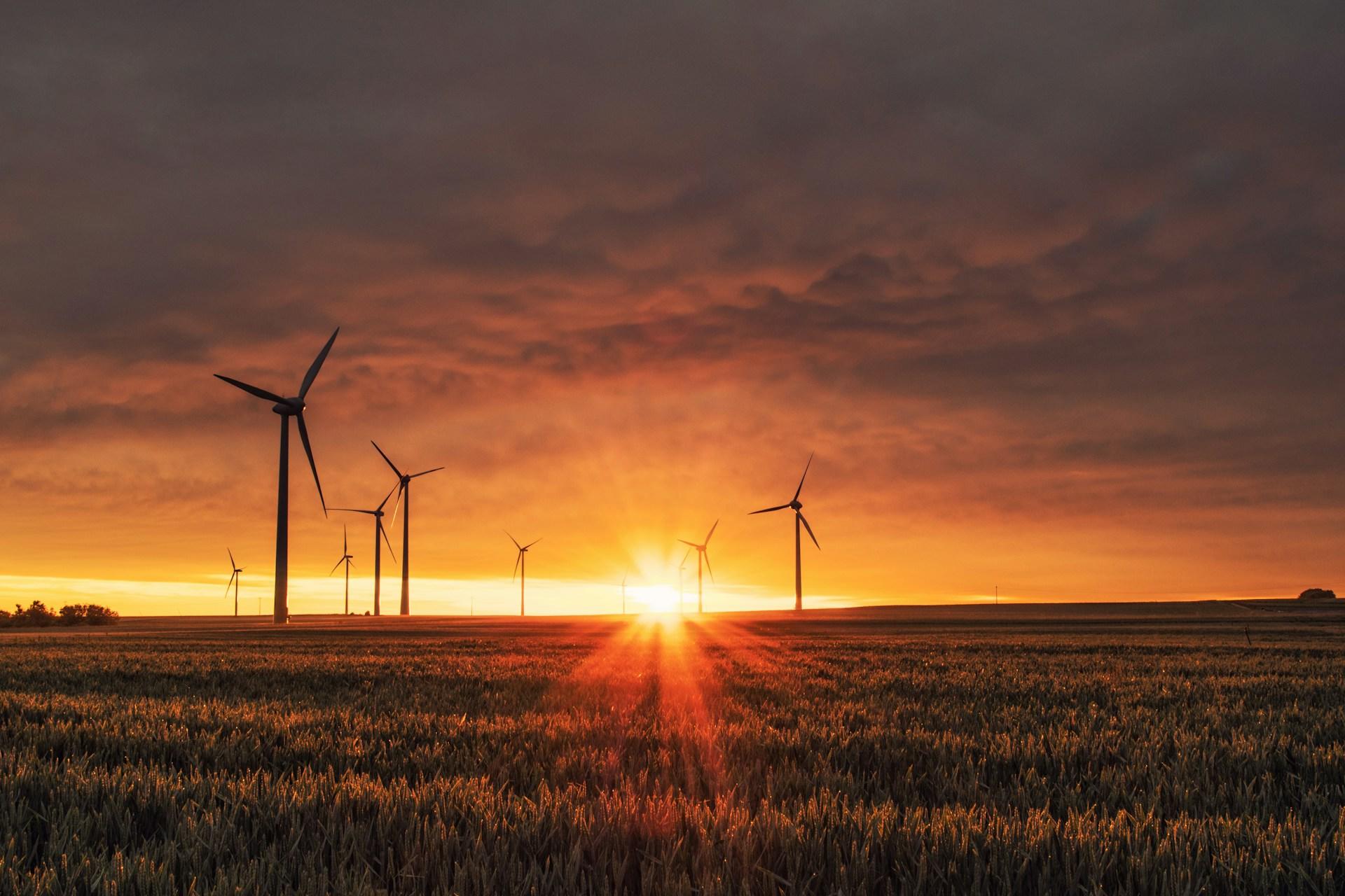 molinos de viento en campo con el atardecer