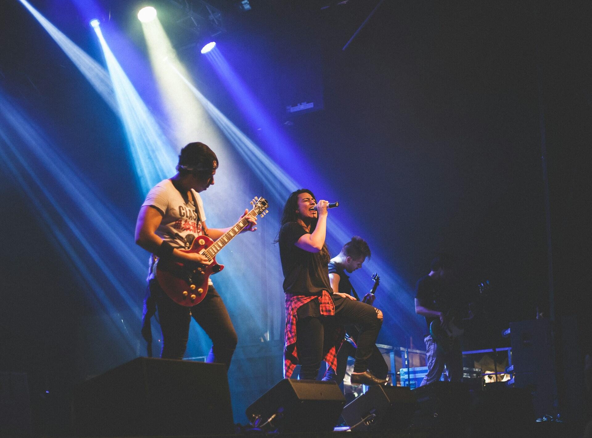 personas en un concierto