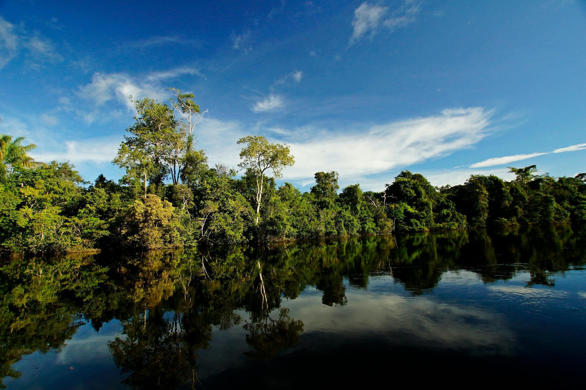 Alta Floresta, MT, Brazil