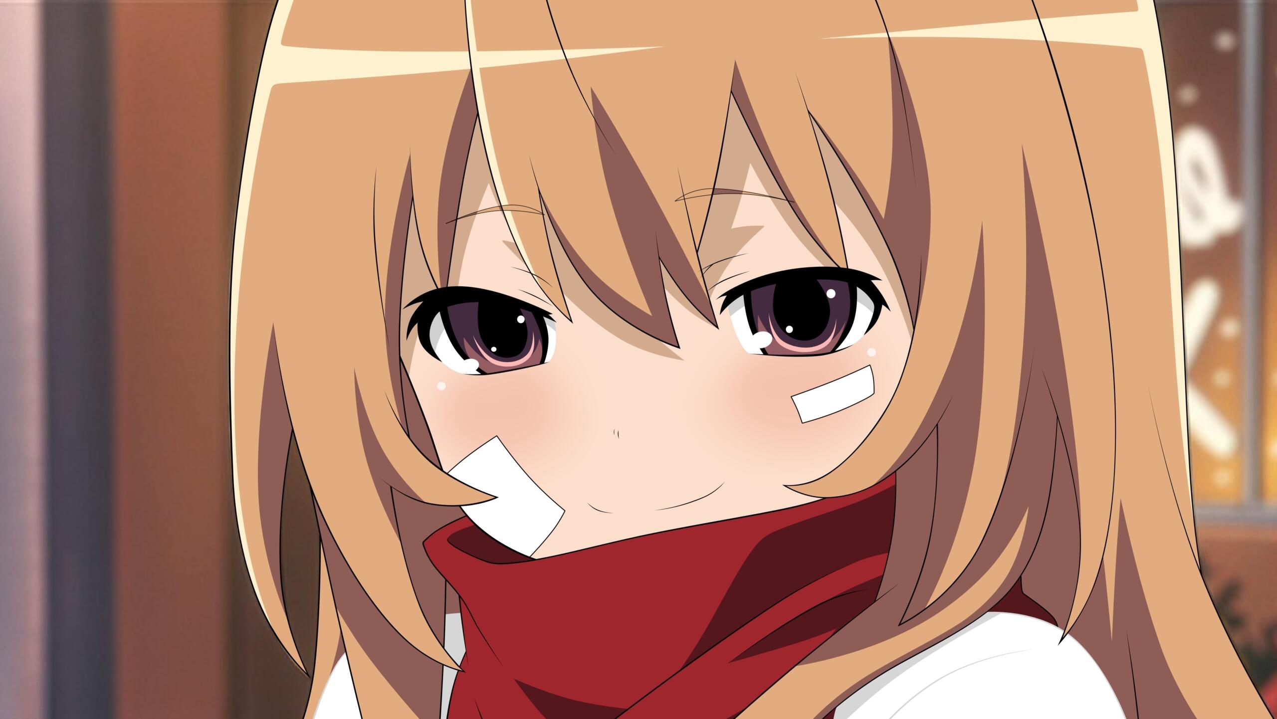 toradora anime comedia romantica