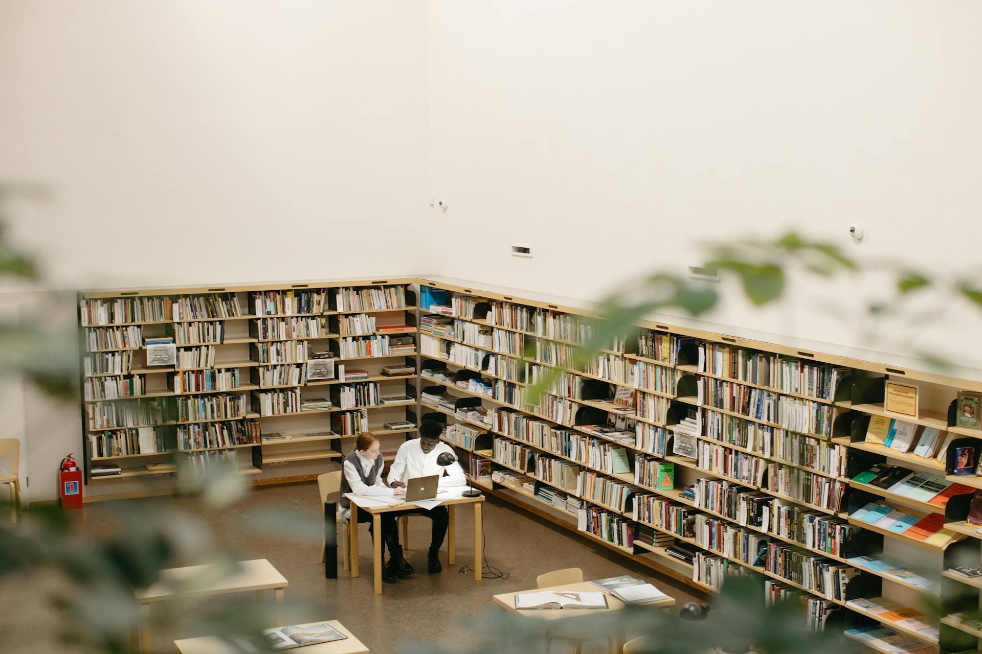 biblioteca estudio chica y chico