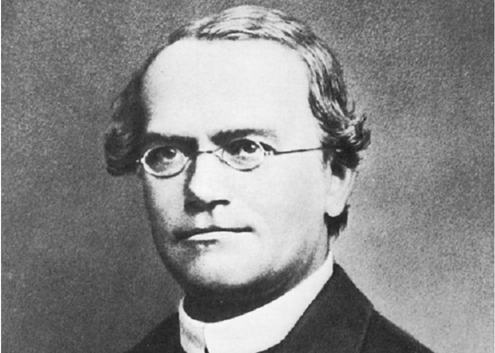 biografia gregor mendel
