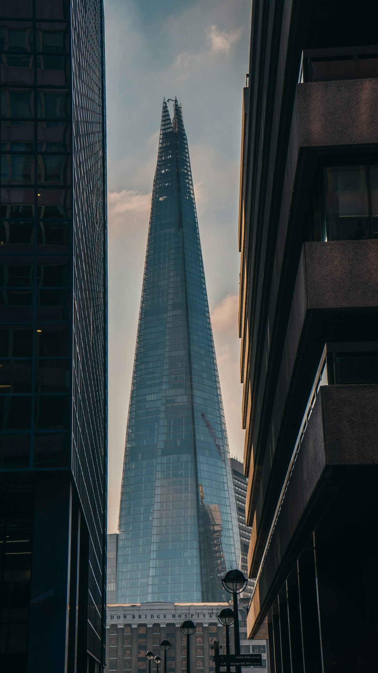 The shard
