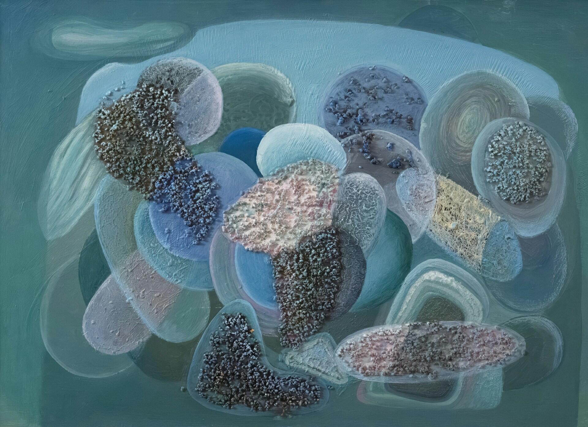 Imagen de como podria ser visto el organismo con un microscopio