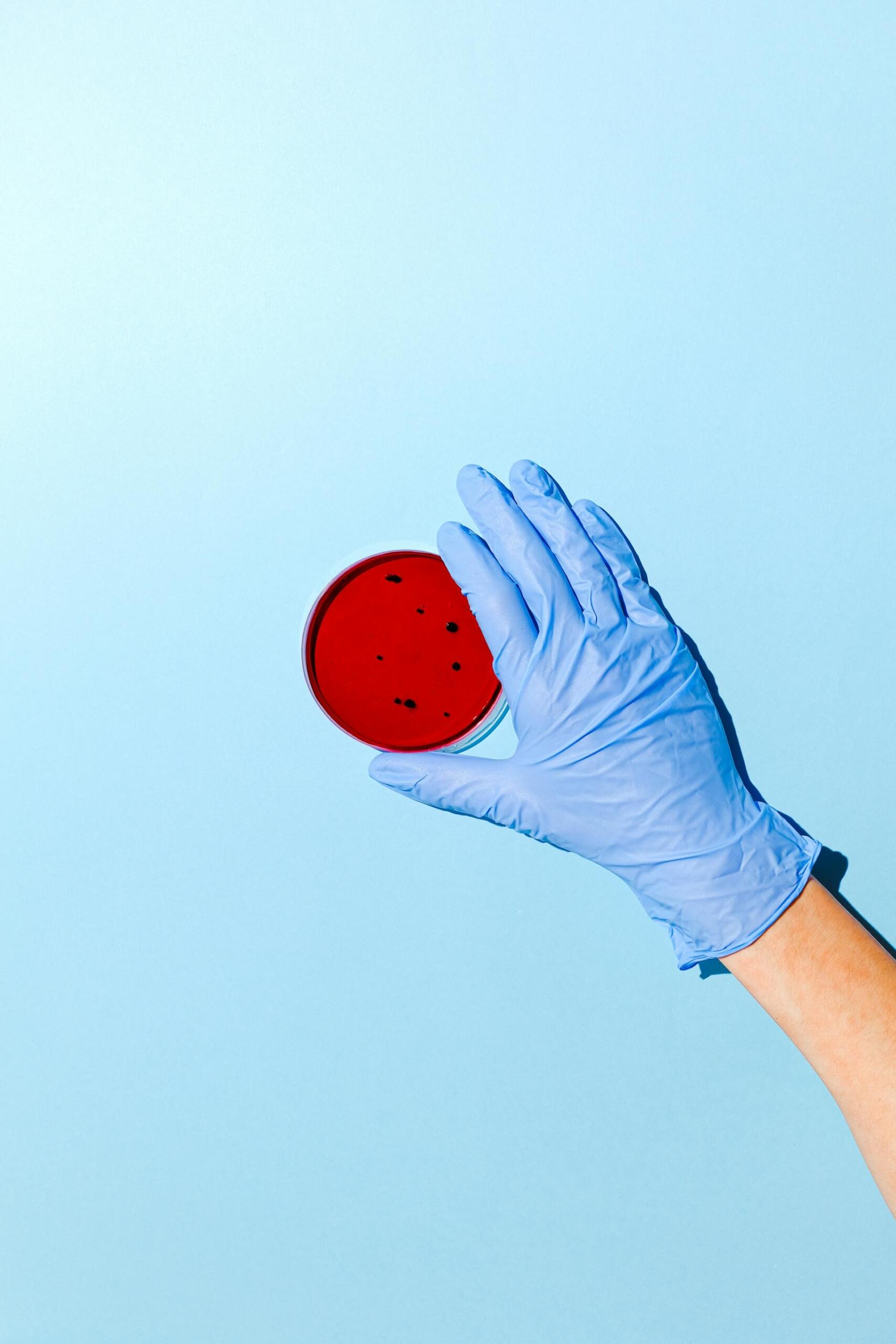placa de laboratorio