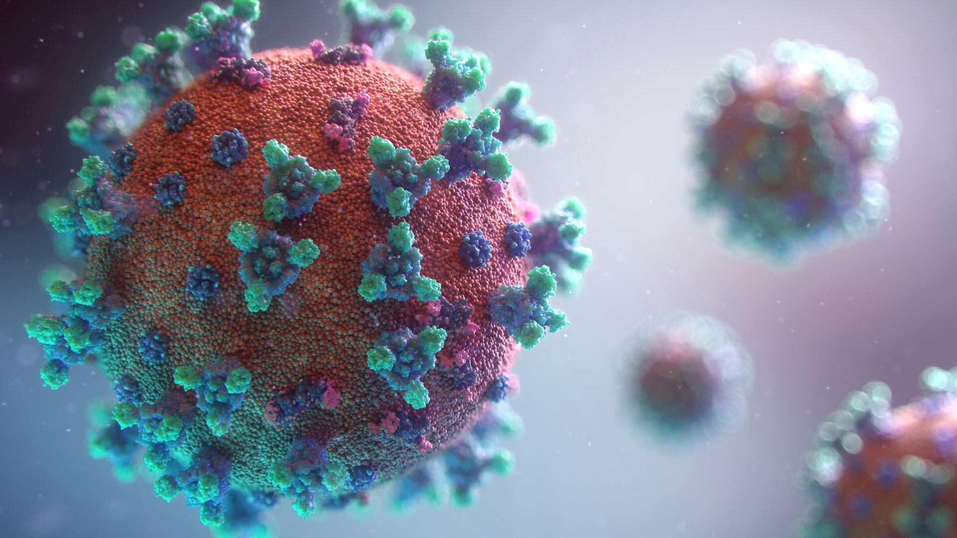 Virus imagen