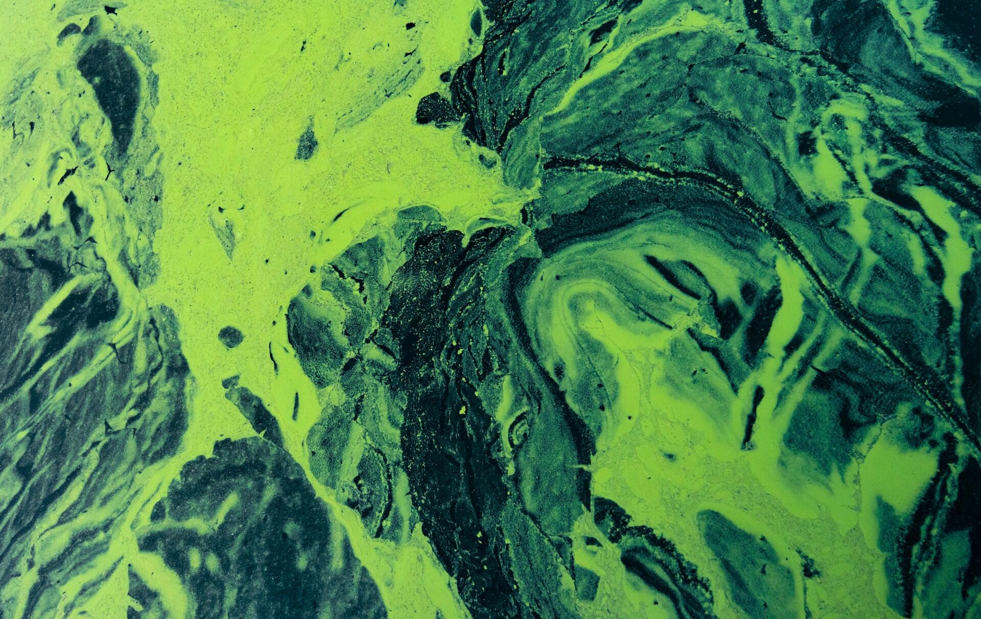 Imagen que parece una pintura de arte moderno verde