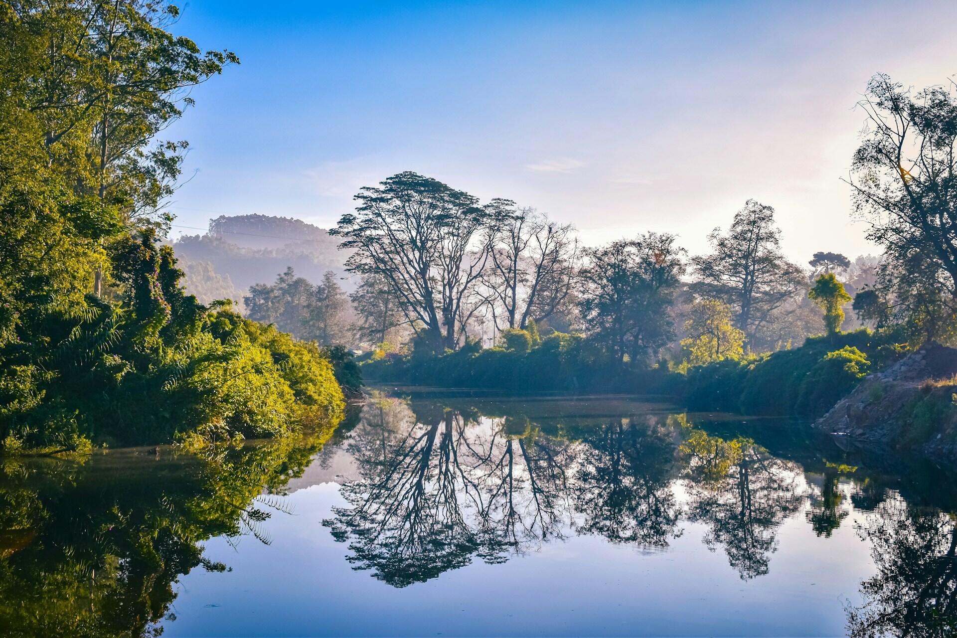 En un sereno paisaje de la India, el fotógrafo Navi captura la perfecta reflexión de los árboles sobre un lago cubierto de niebla, una imagen que representa la calma y el equilibrio de la naturaleza y que podemos encontrar en Unsplash.