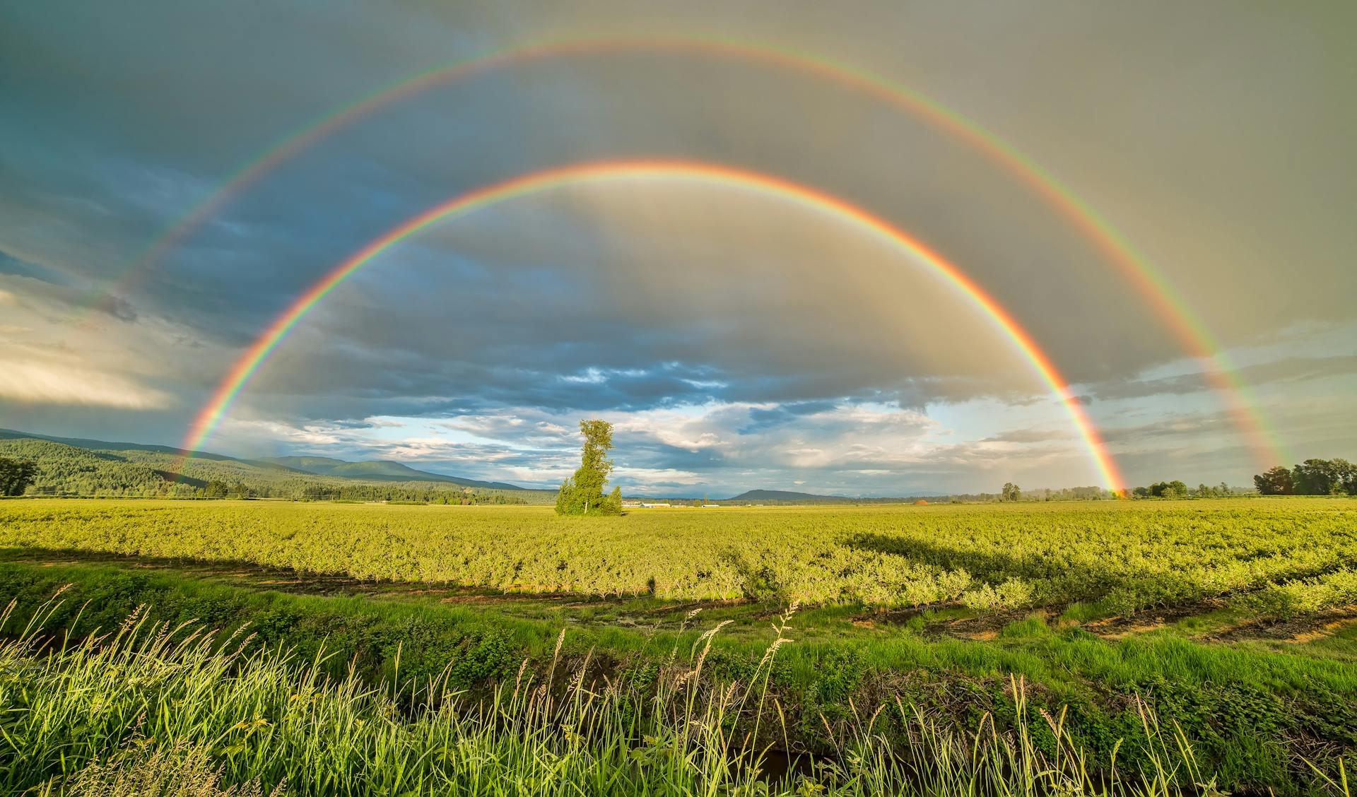 Un vibrante arcoíris doble sobre un campo verde, representando el espectro completo de colores en la naturaleza, en una fotografía de James Wheeler.