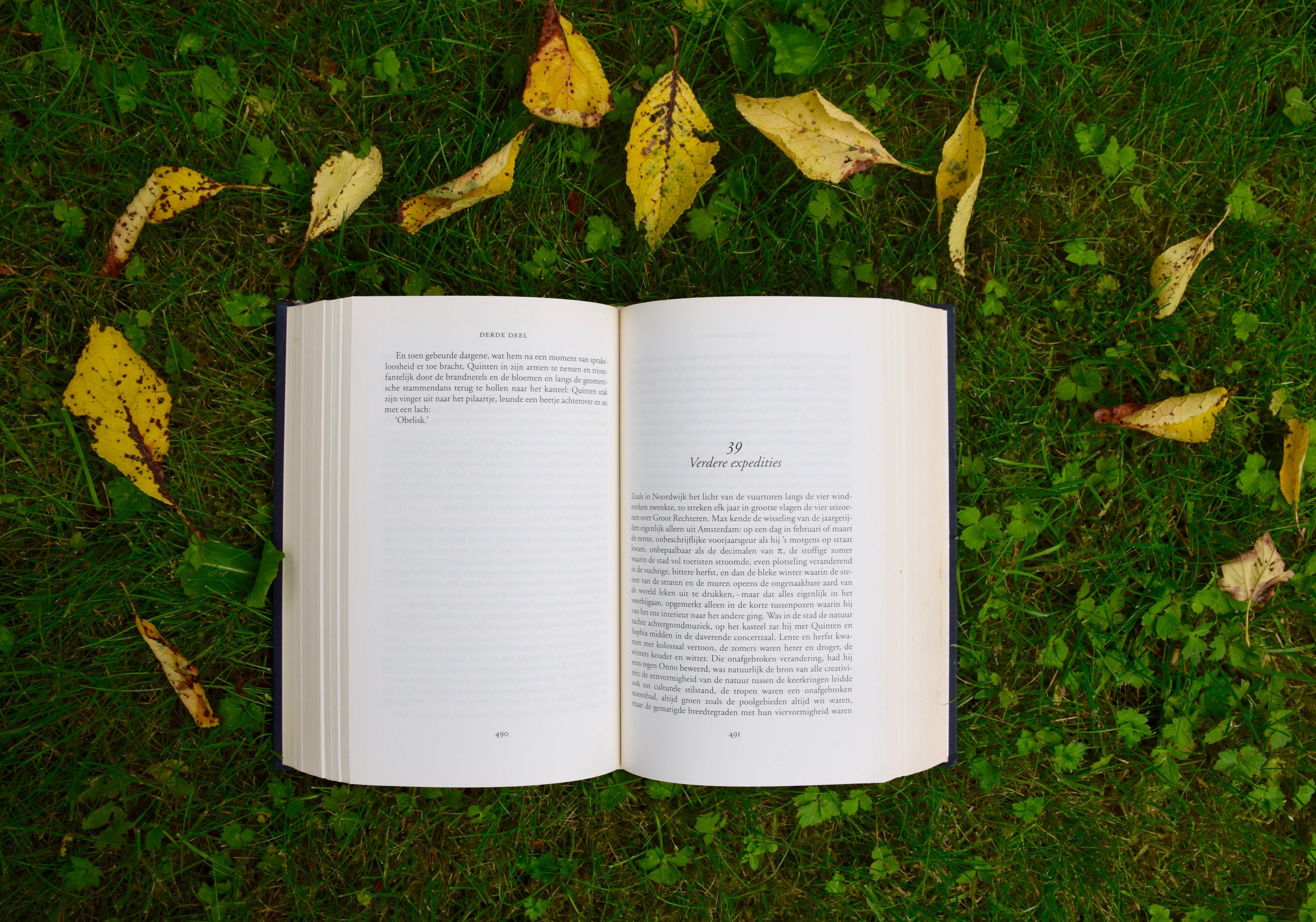 Book on grass