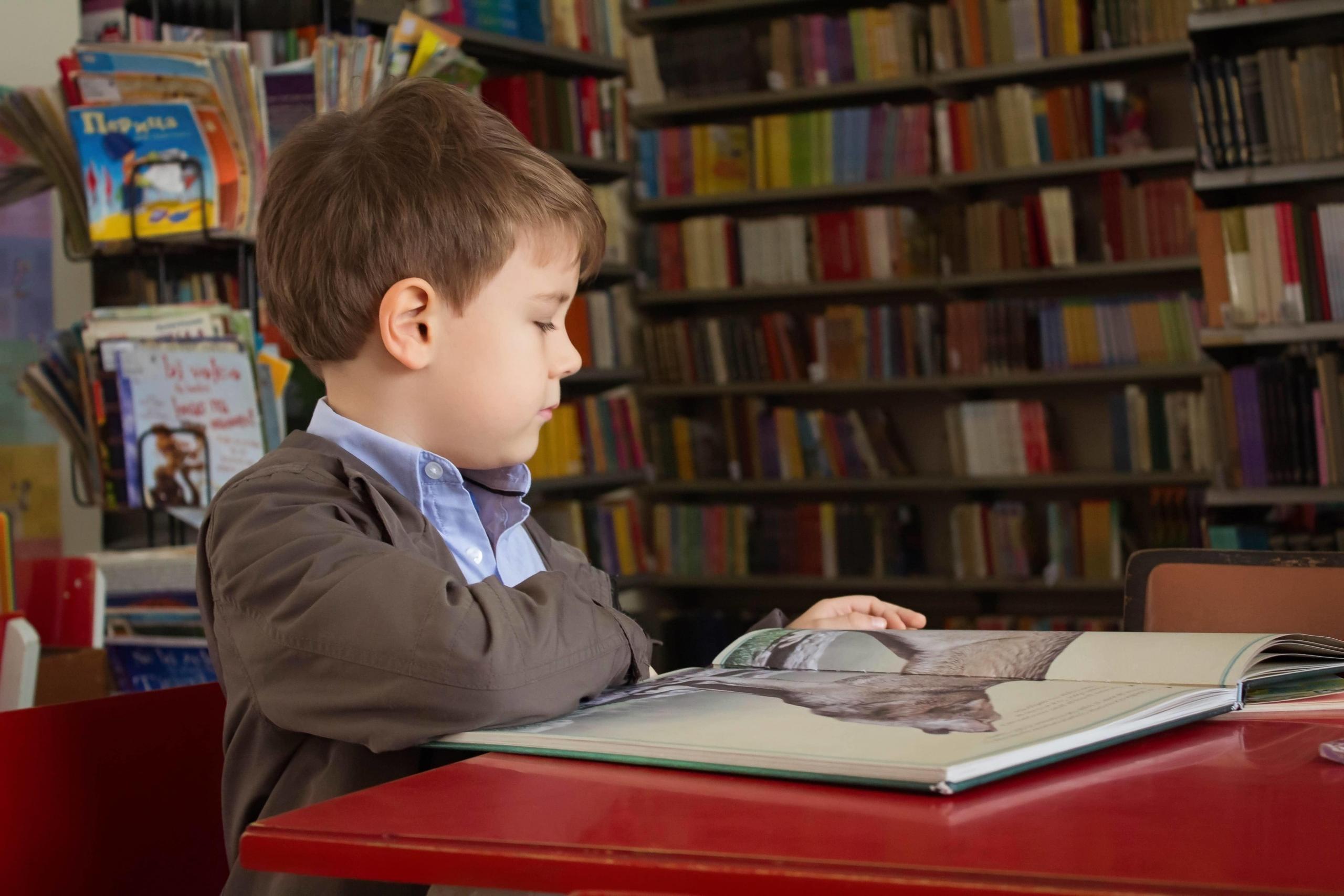 small boy reading book in library