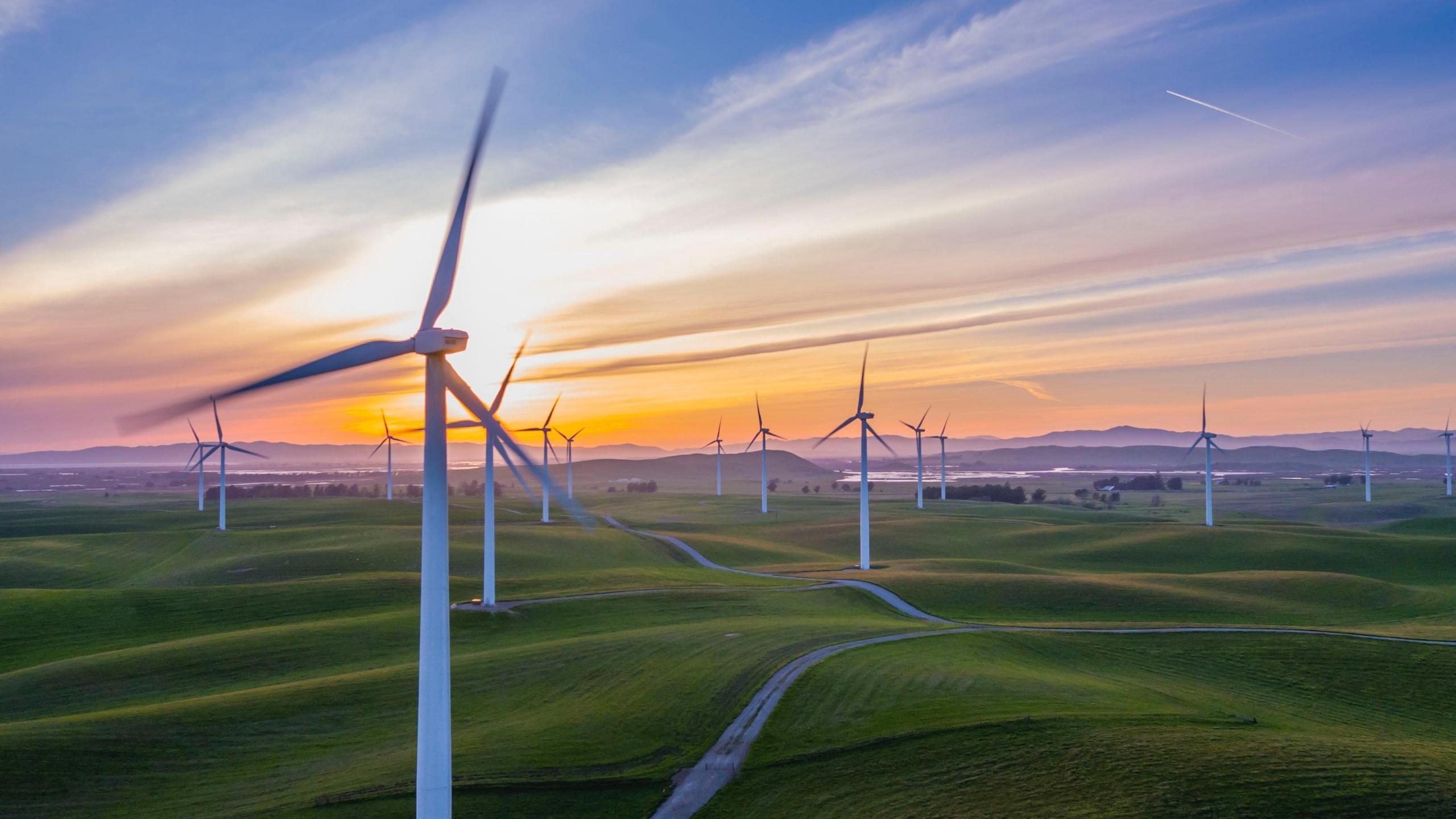white wind mills on green field
