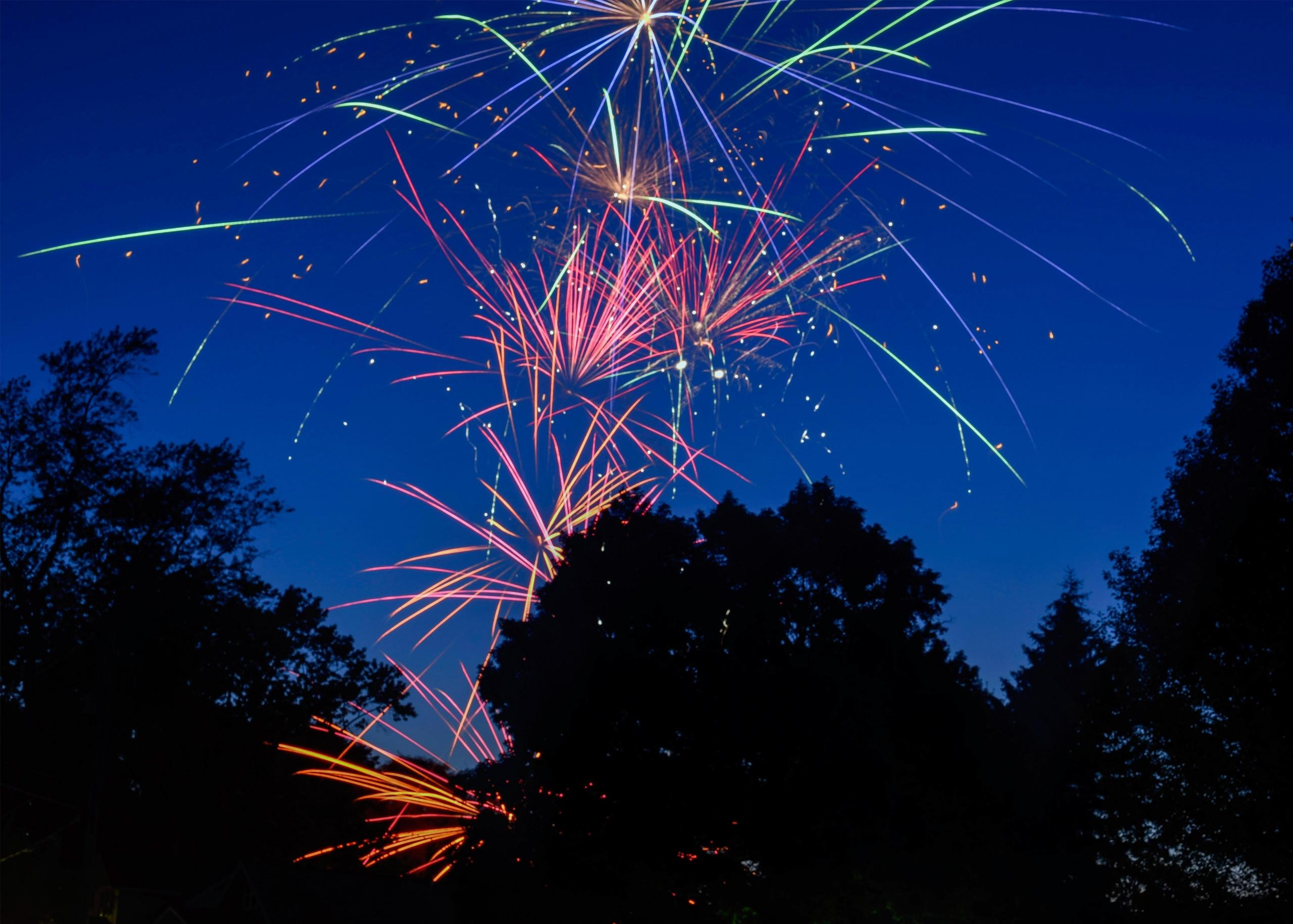 colourful firework display in the night sky