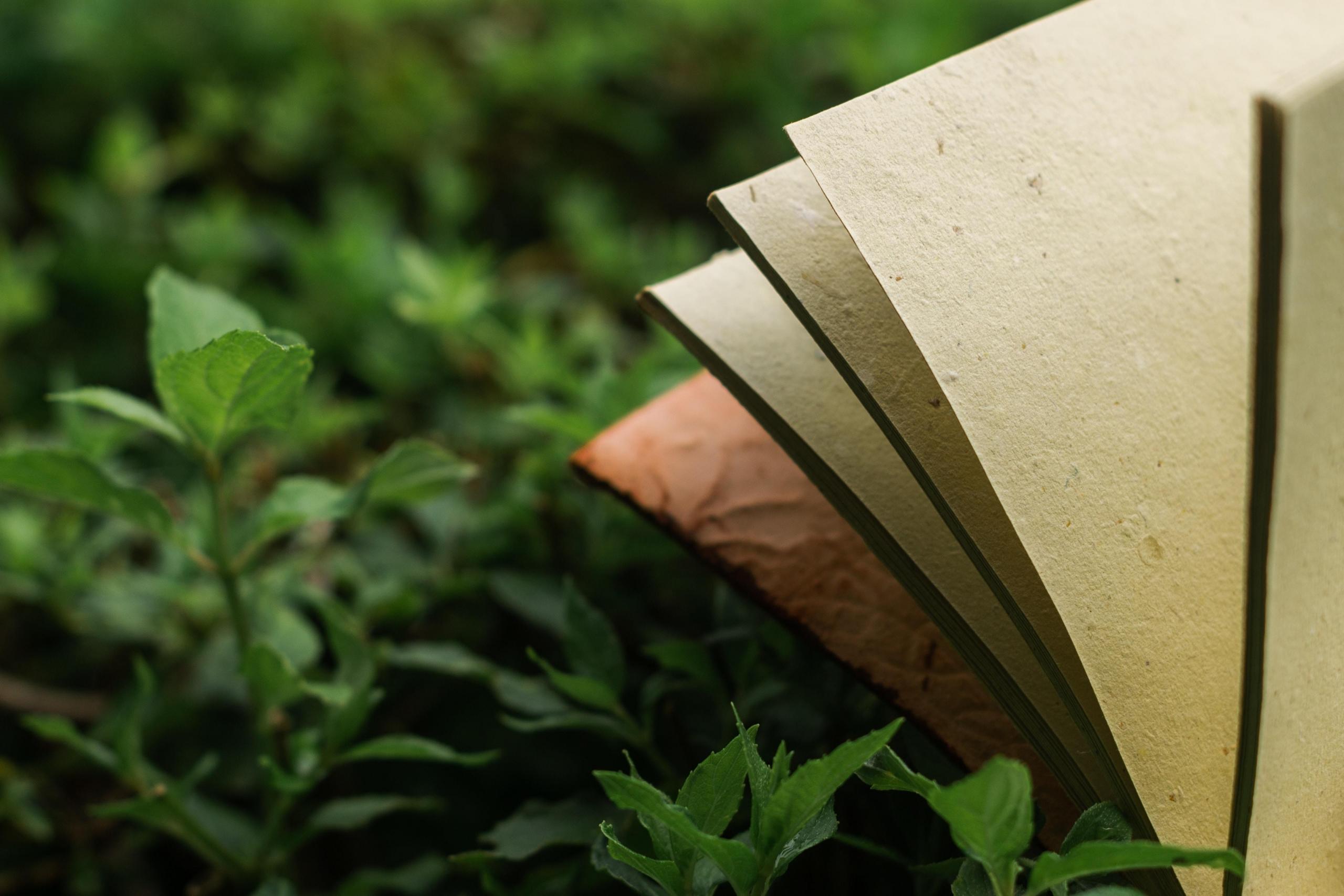 book lying open on green vegetation