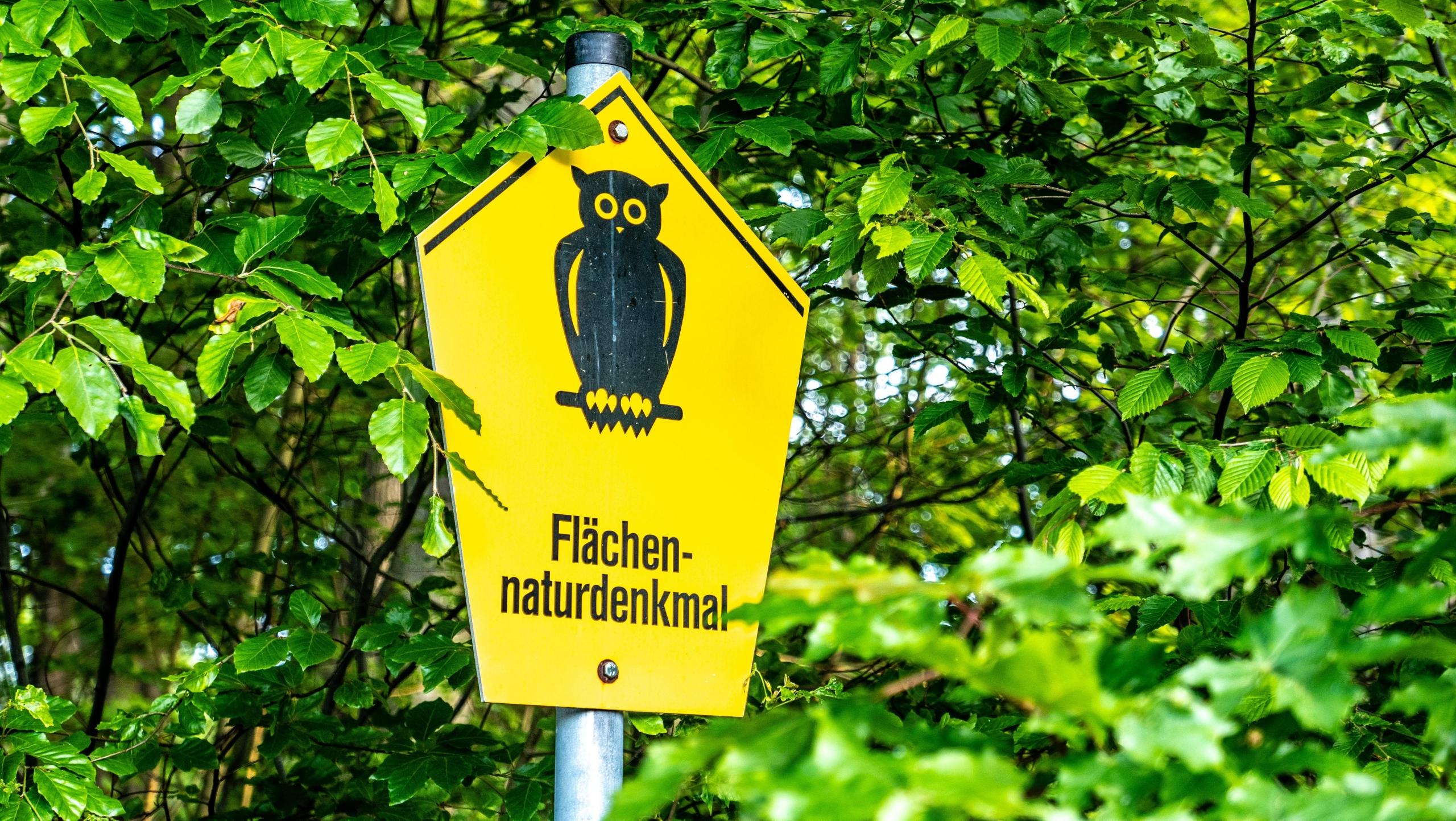 german writing on signpost