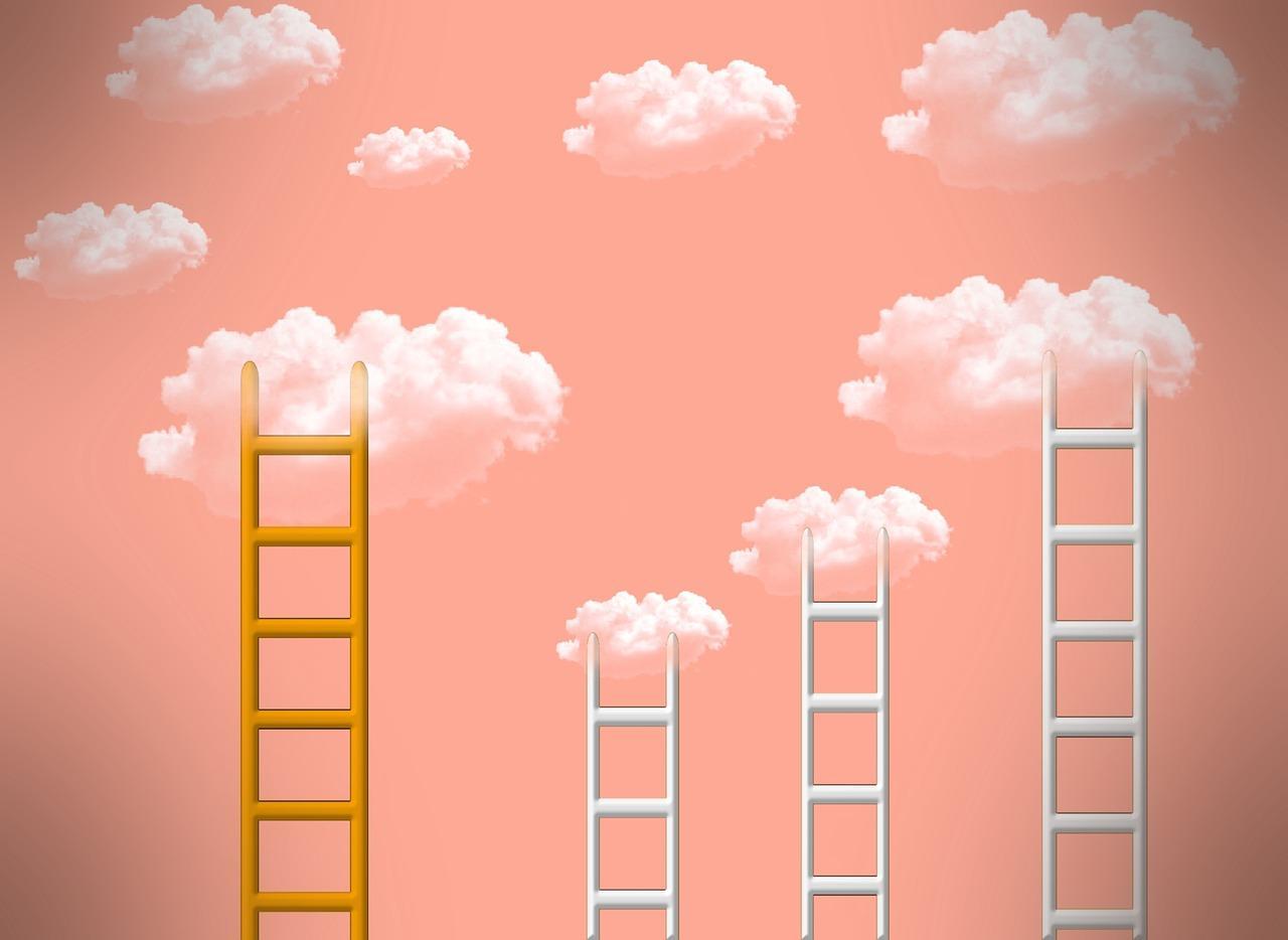 climbing the ladder of leadership success