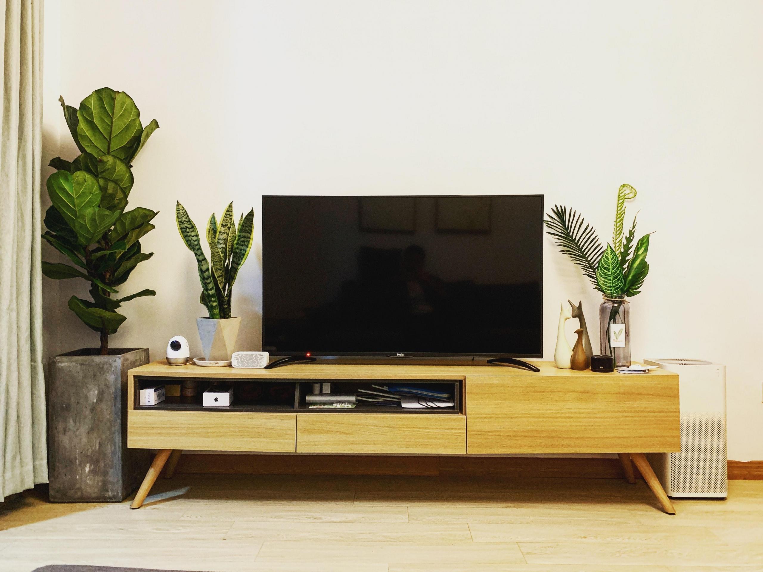 tv on tv stand with indoor plants