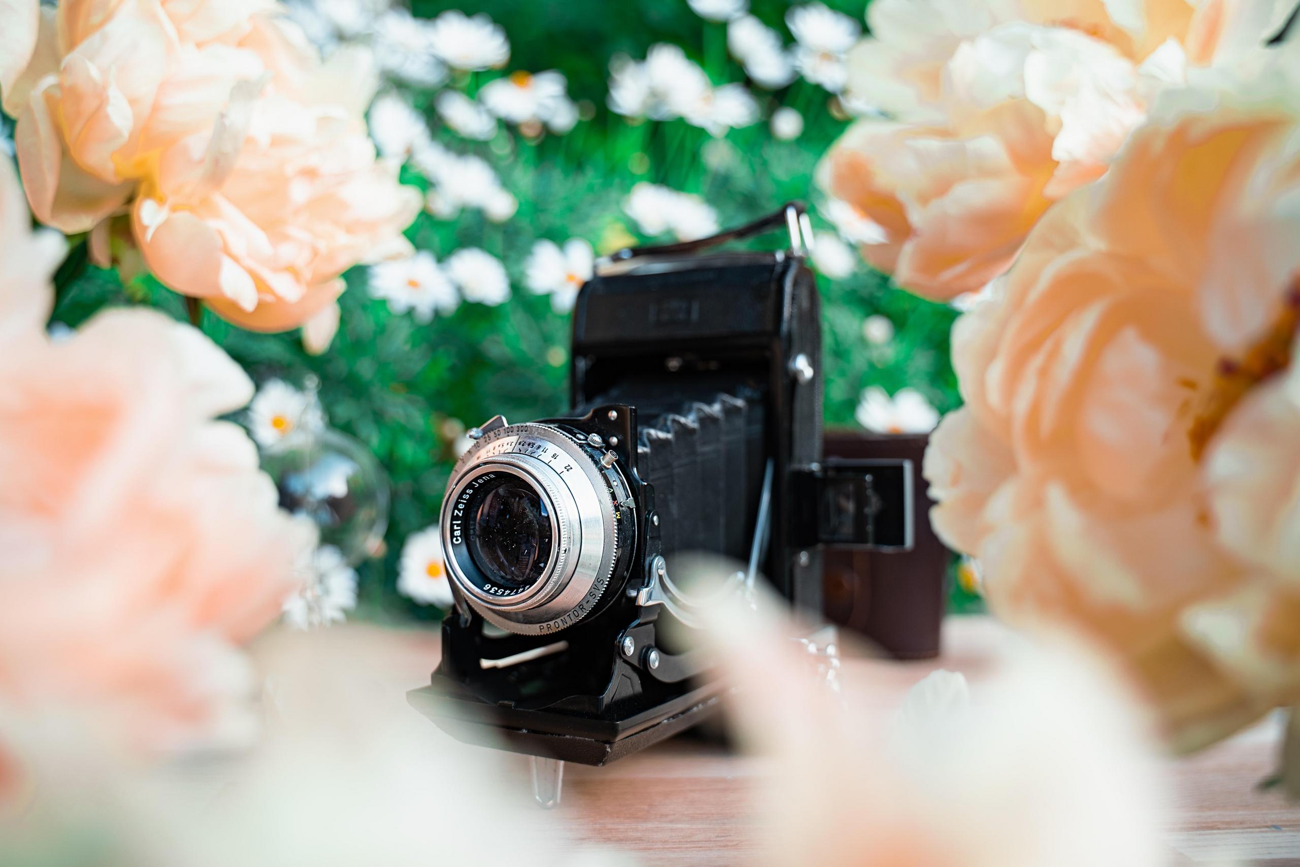 vintage black camera amongst pastel flowers