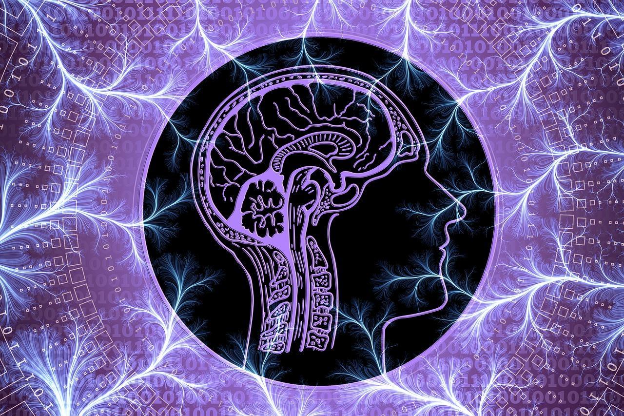 Yoga changes the brain
