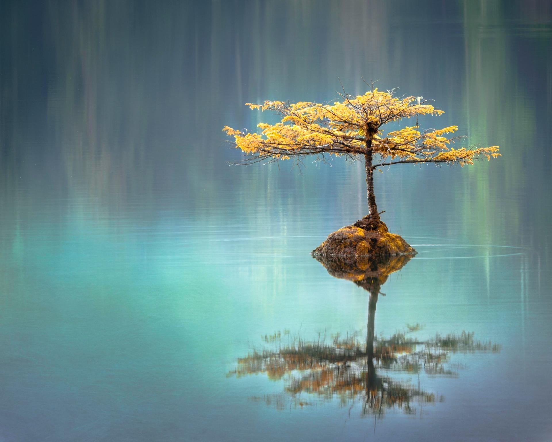 Quiet mind