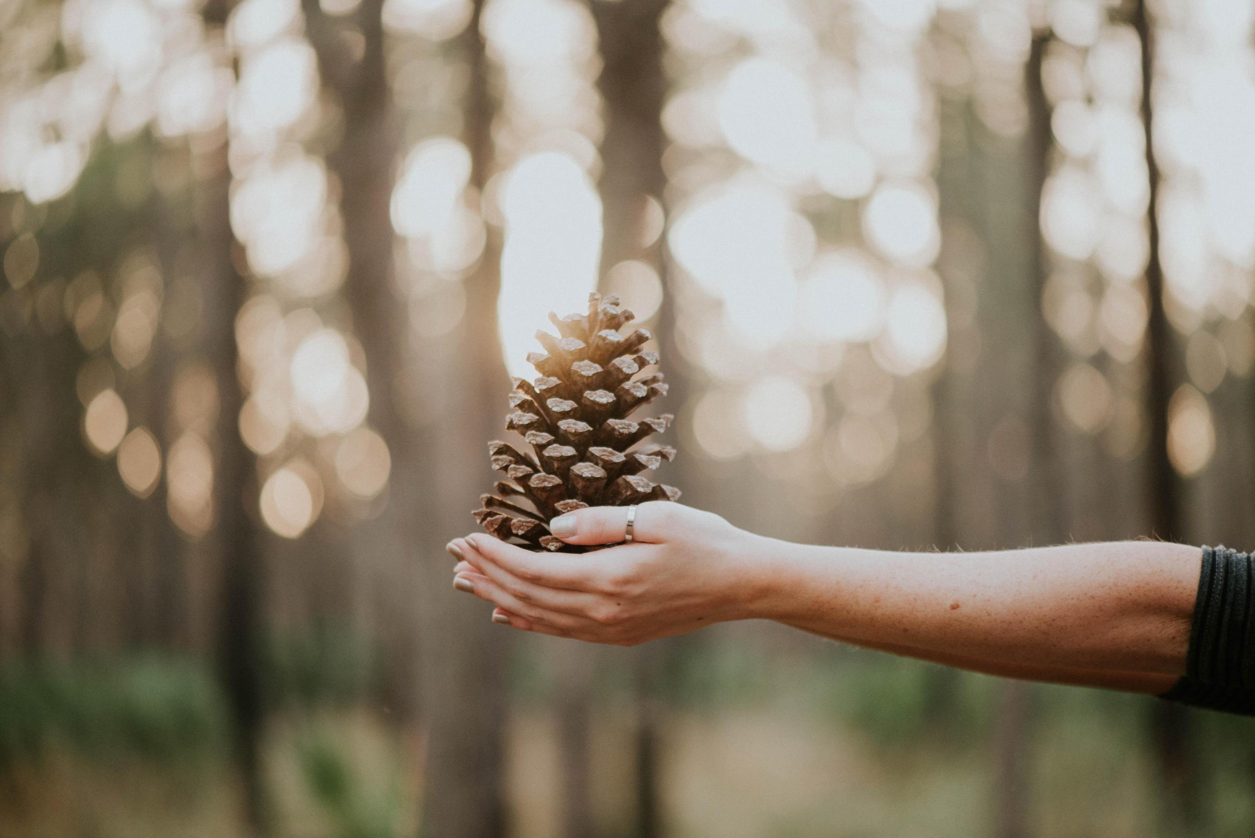 woman with outstretched arms in forest