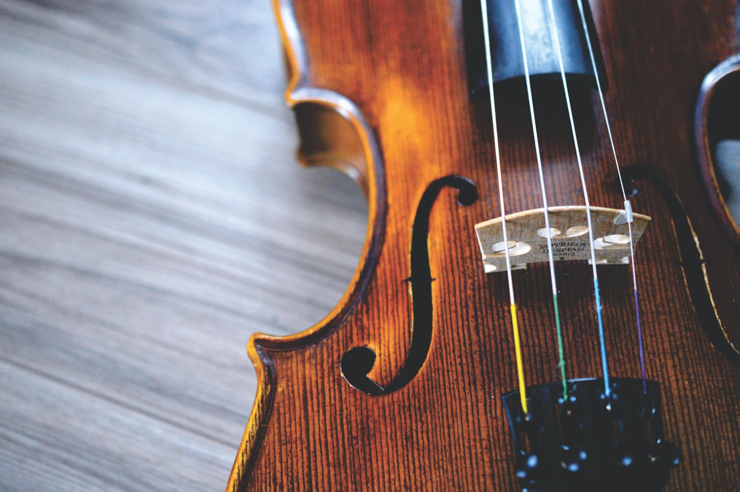 close up of violin with multi coloured strings