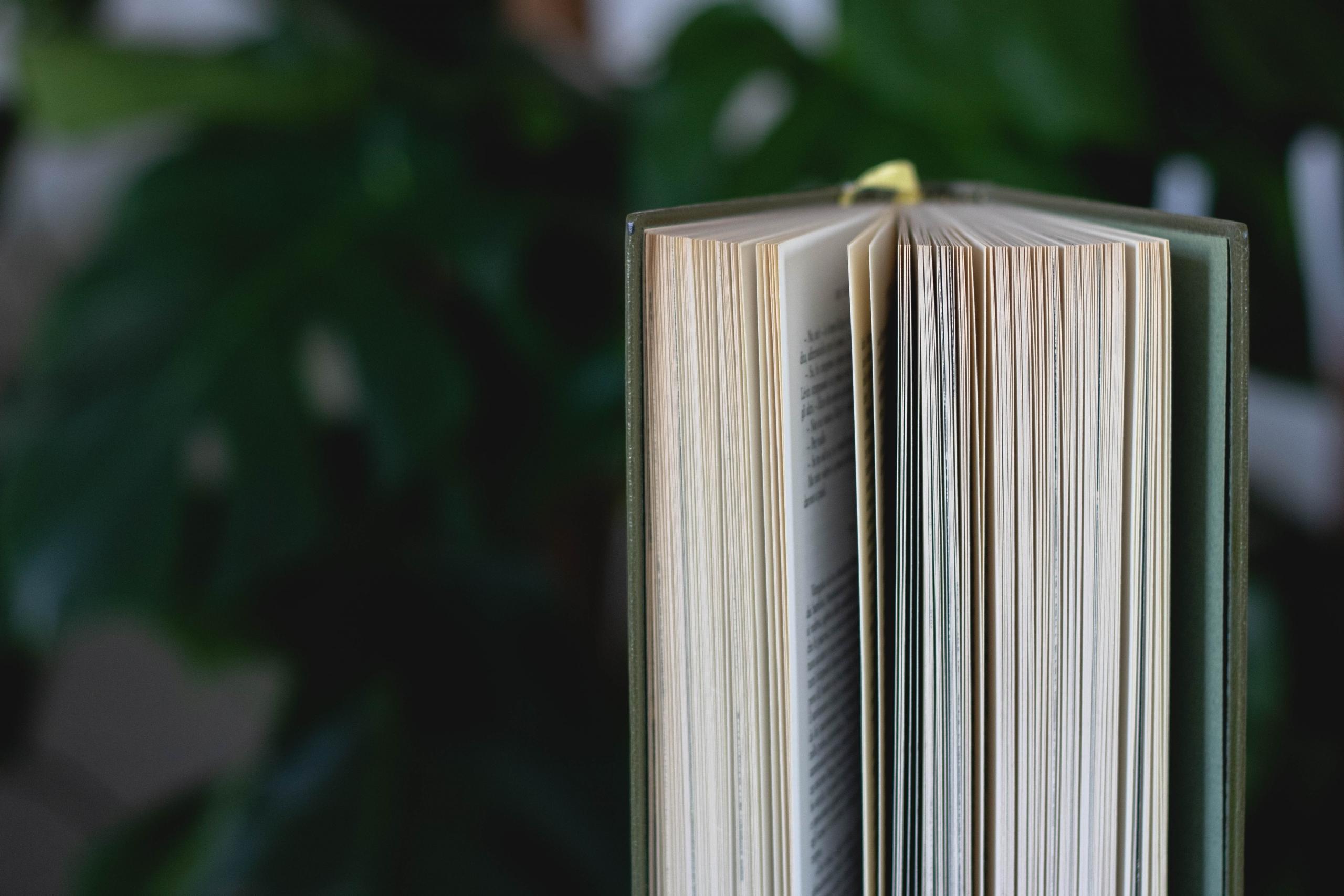 book standing upright with pages fanned out