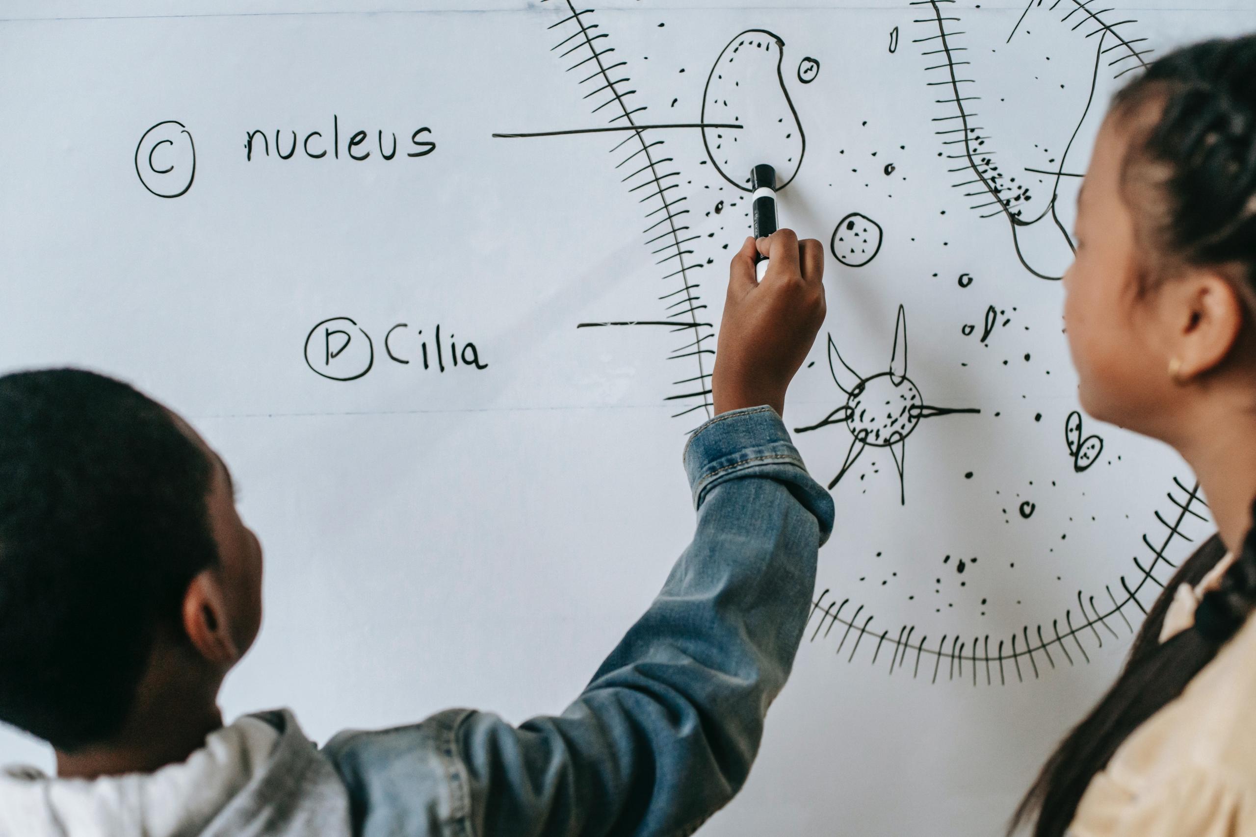 children naming the parts of the cell