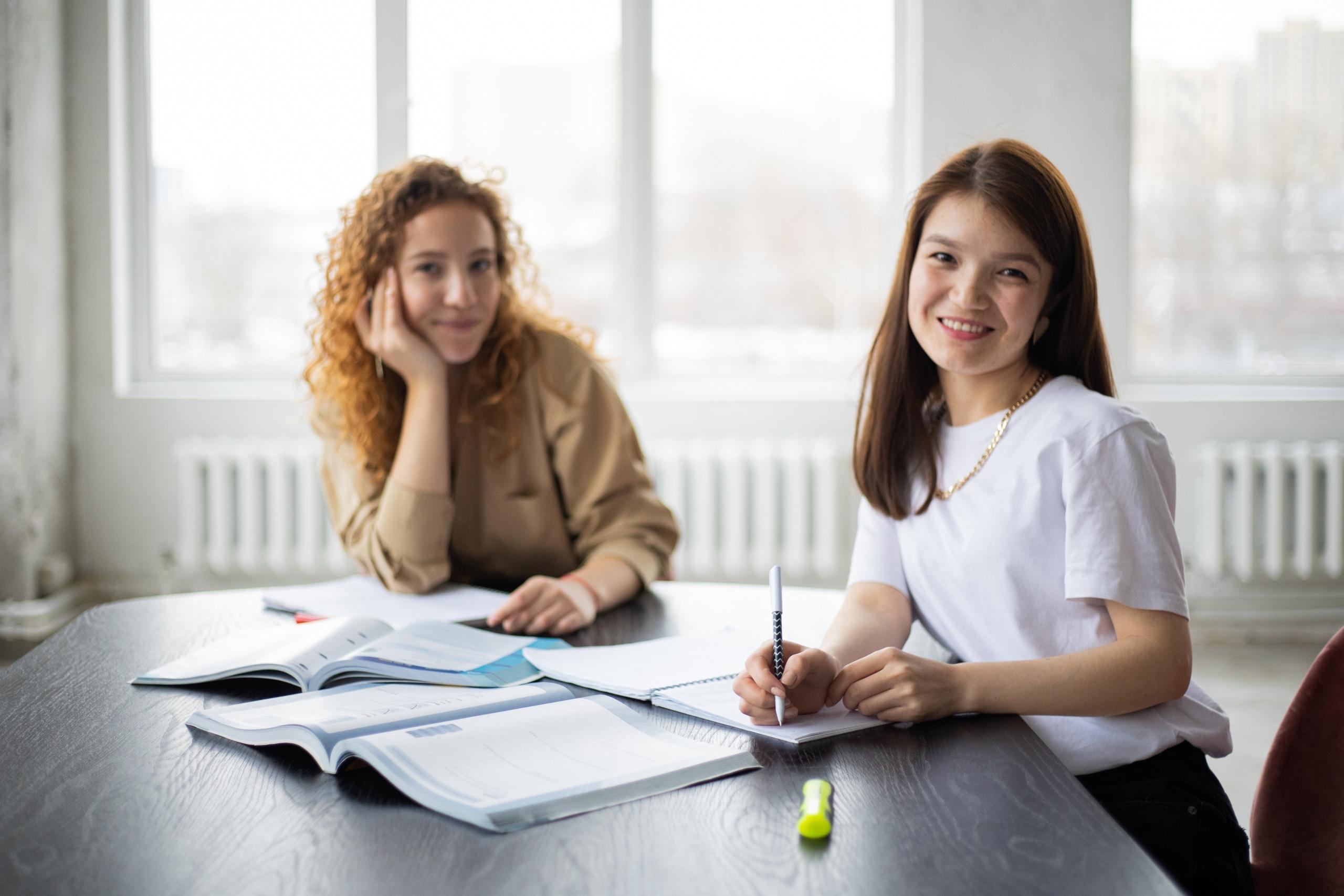 private tutor giving lesson to Student,y