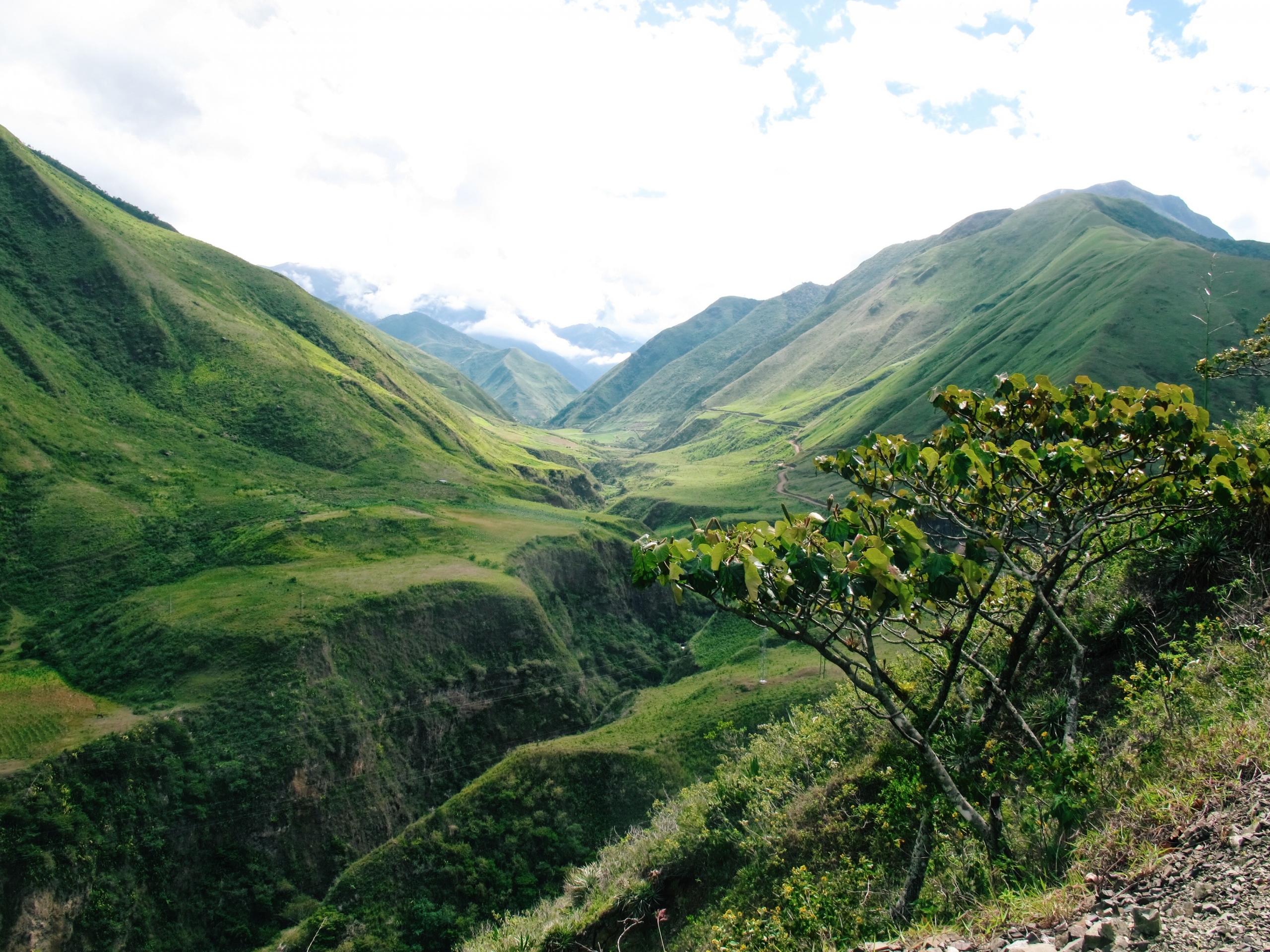mountain covered in green vegetation in Ecuadorian countryside