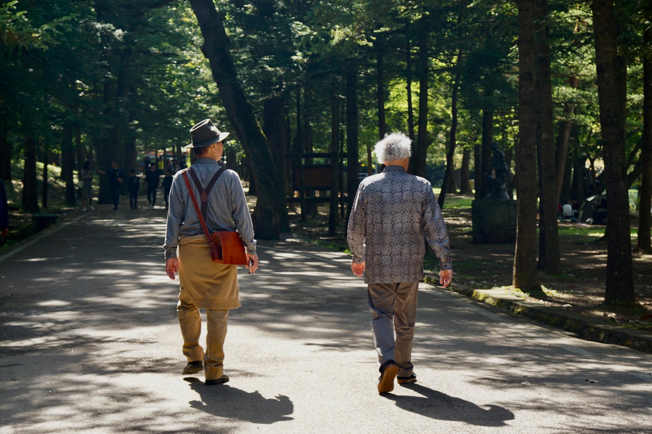 two old men walking side by side