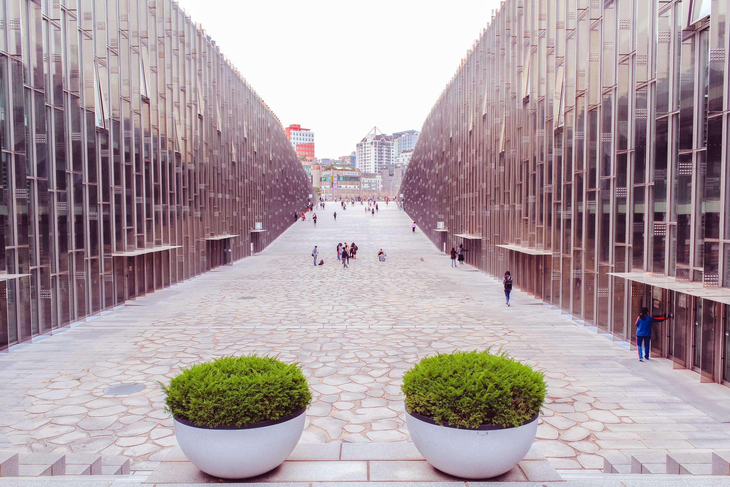 walkway between glass buildings
