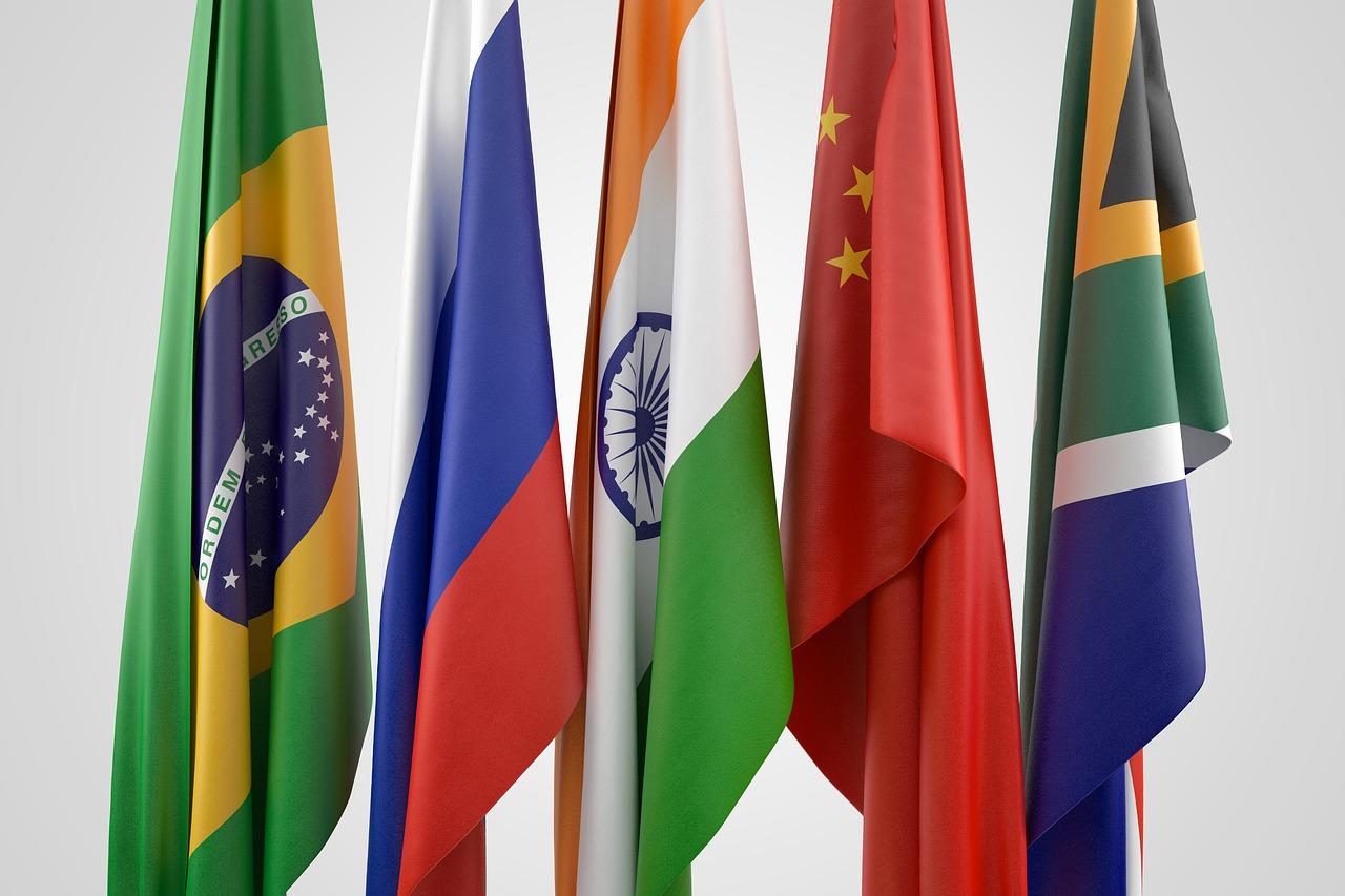 BRICS in economics