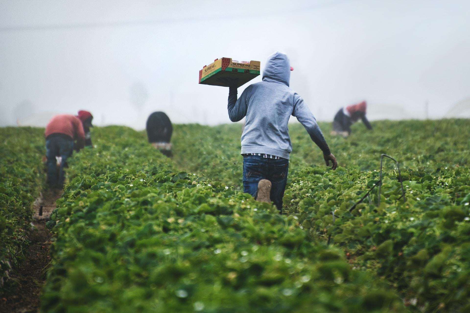 farming and climate change