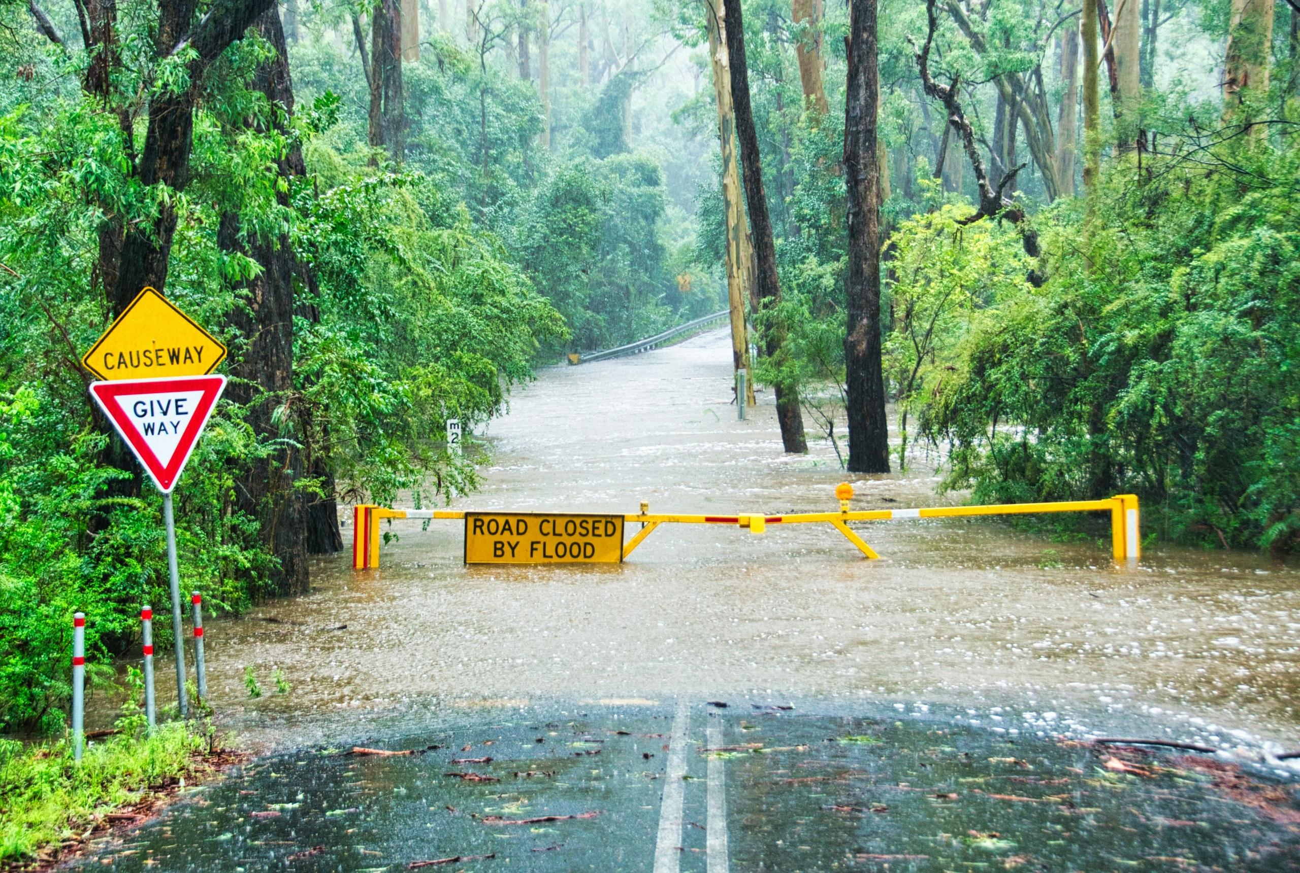 flooded road between trees blocked off