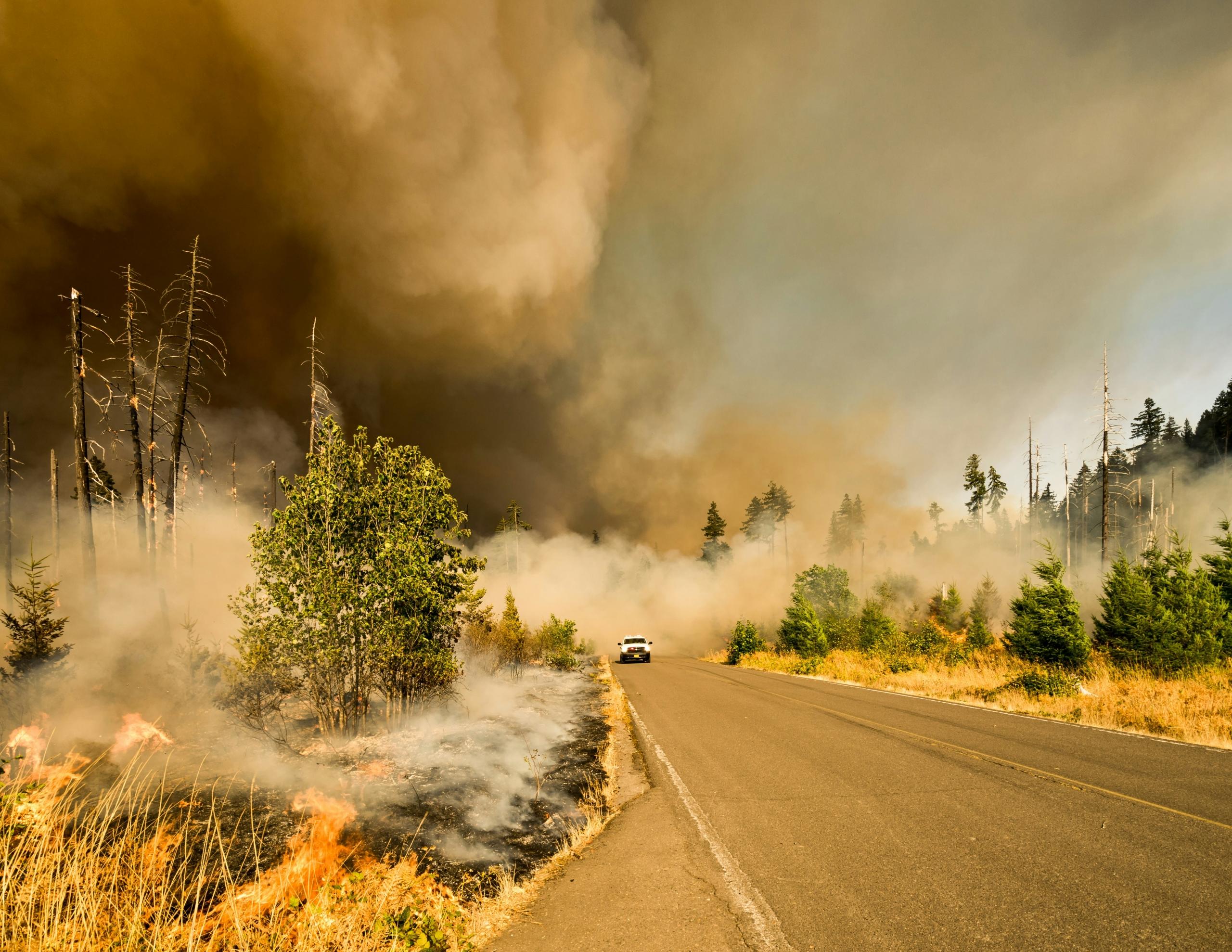 car driving through ash being released across forest by erupting volcano