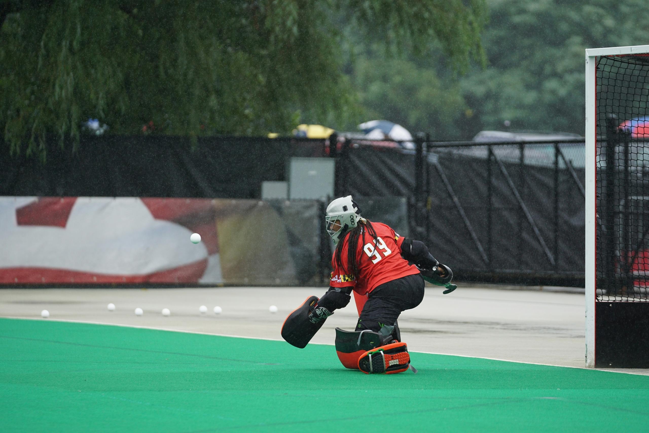 Hockey Goalie