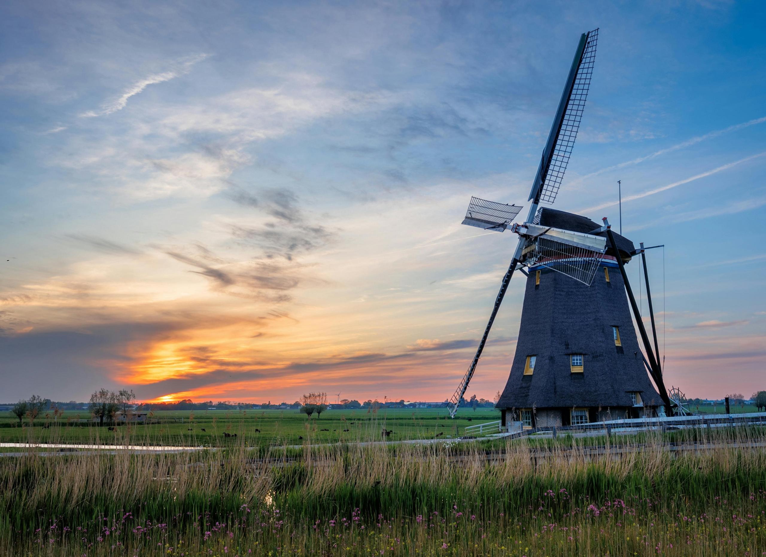 Should you learn Dutch if you live in South Africa?