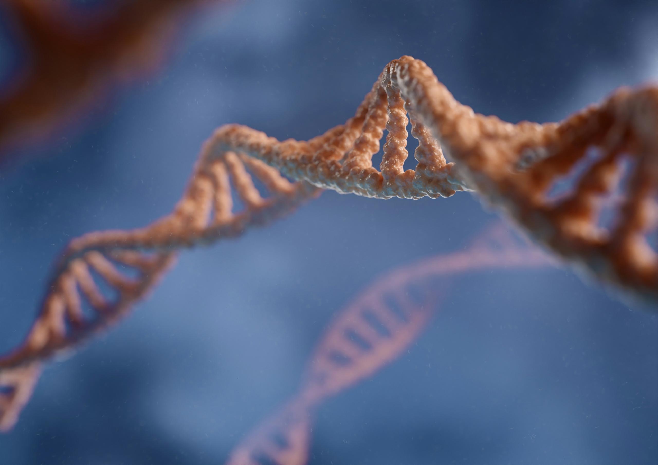 3D rendering capturing the double helix structure of DNA against a blue backdrop, highlighting the intricate beauty of life's genetic cod