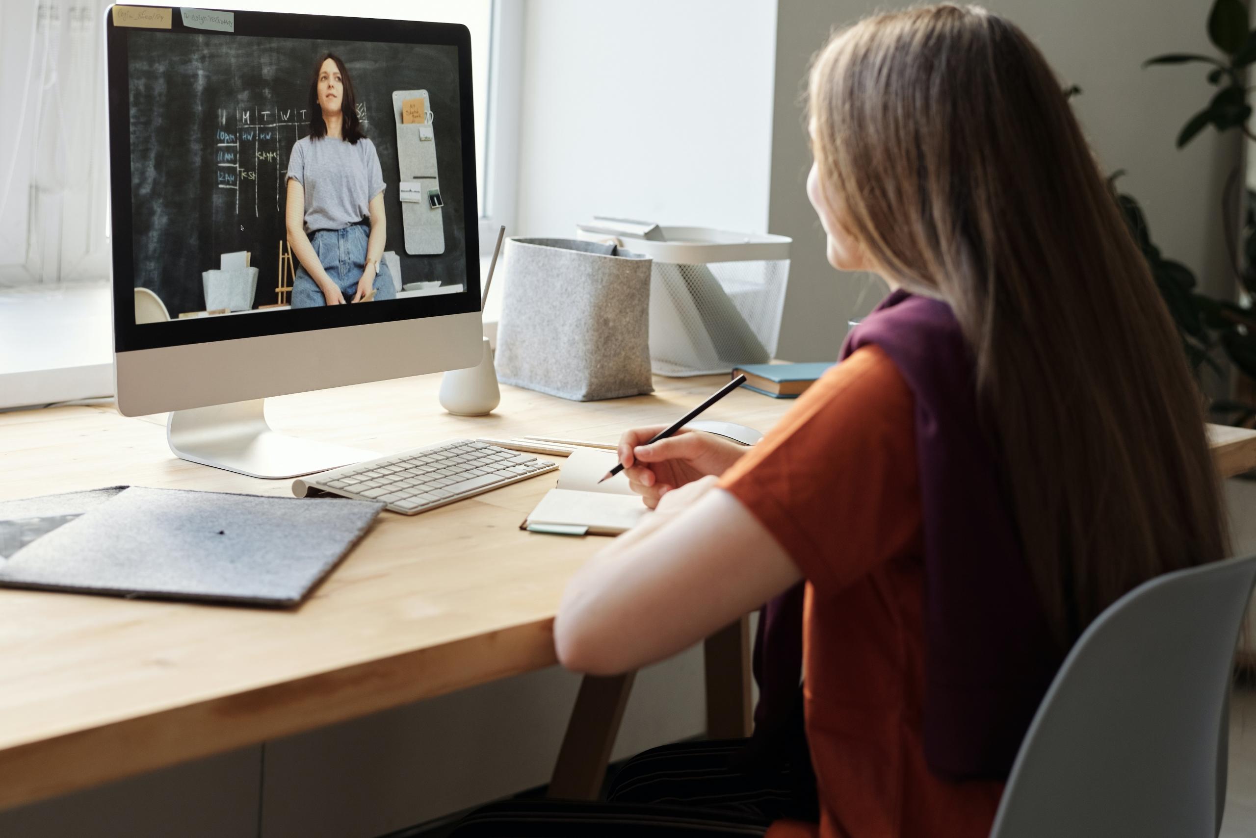 online tutor and student