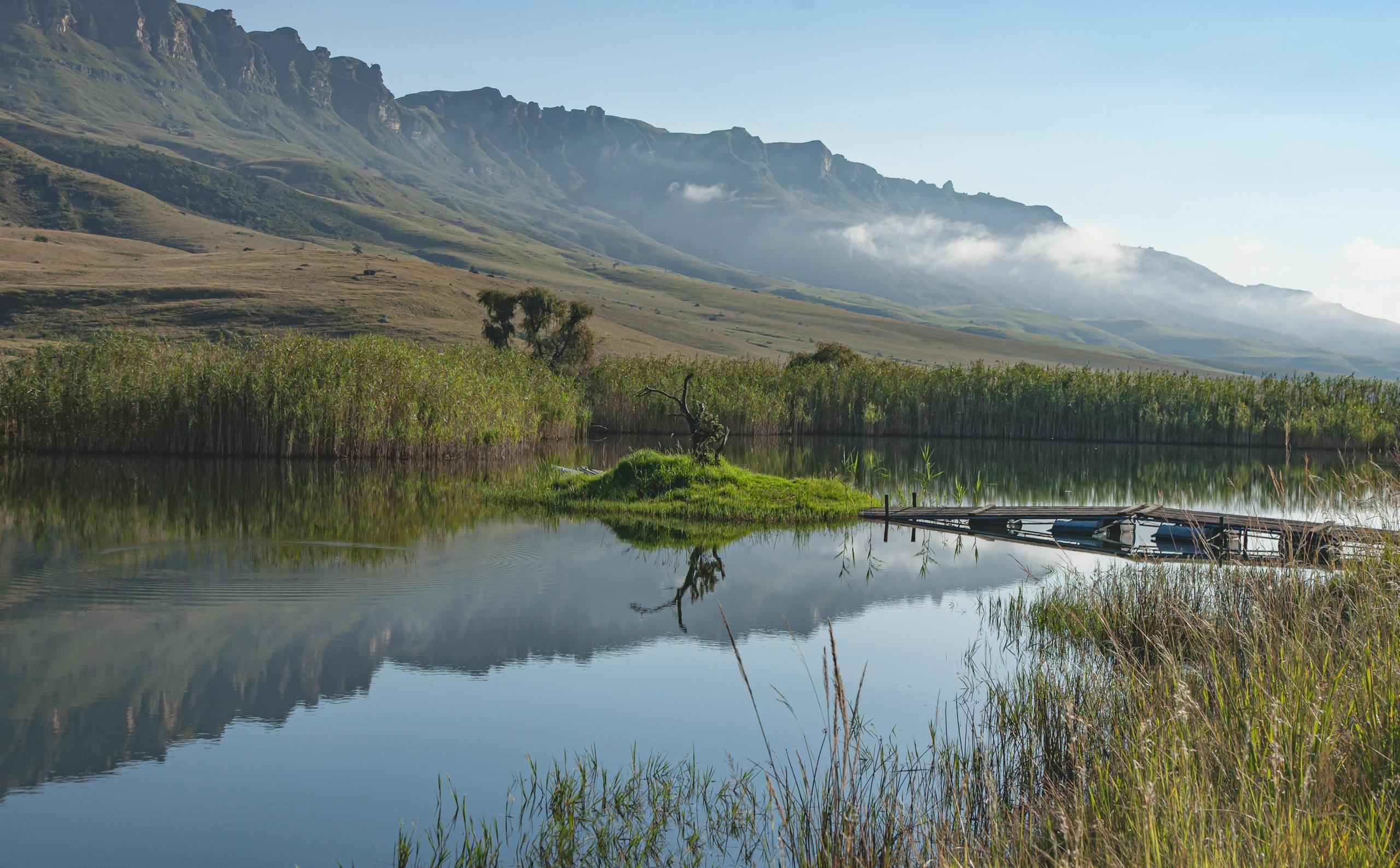 Drakensberg nature pics