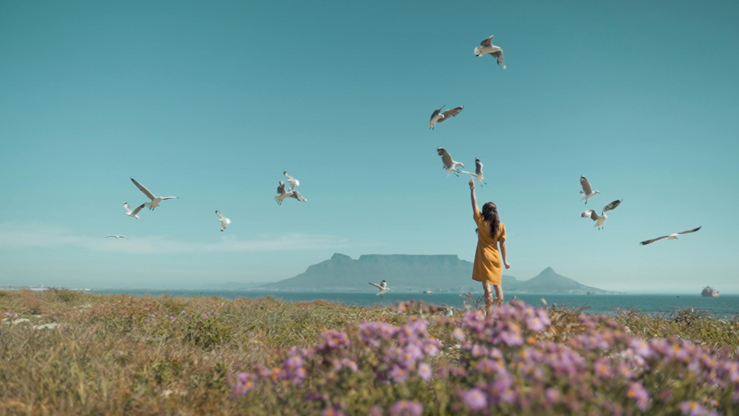 Table Mountain landscape pictures
