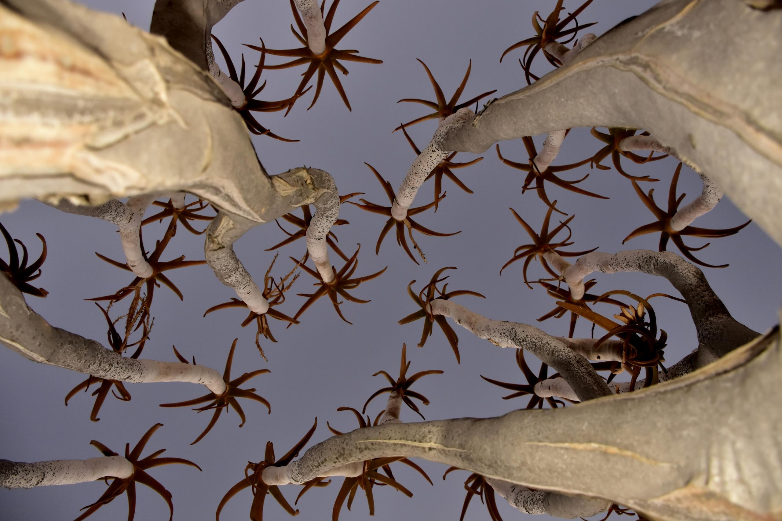 landscape photography