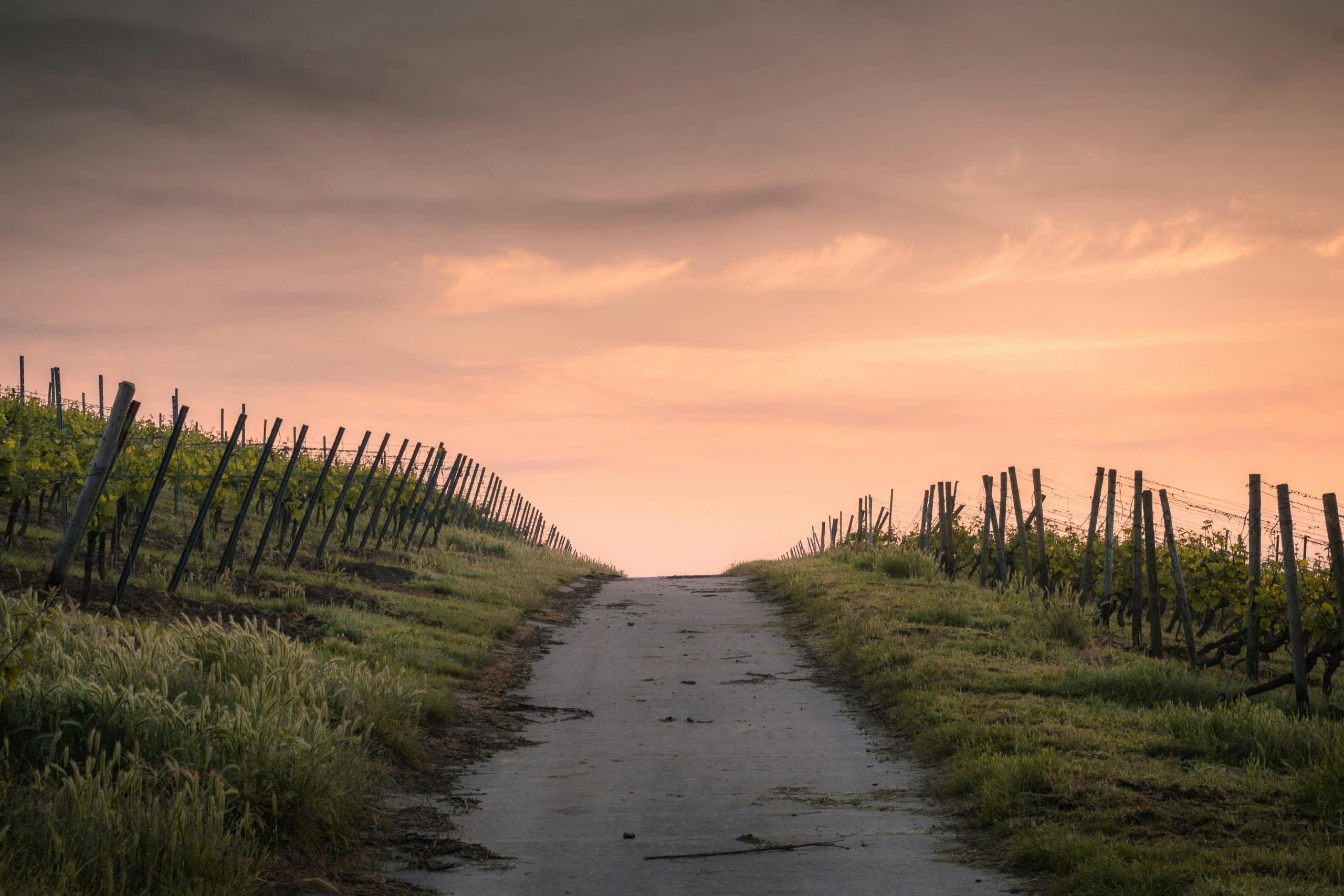 Finding your path as a tutor.