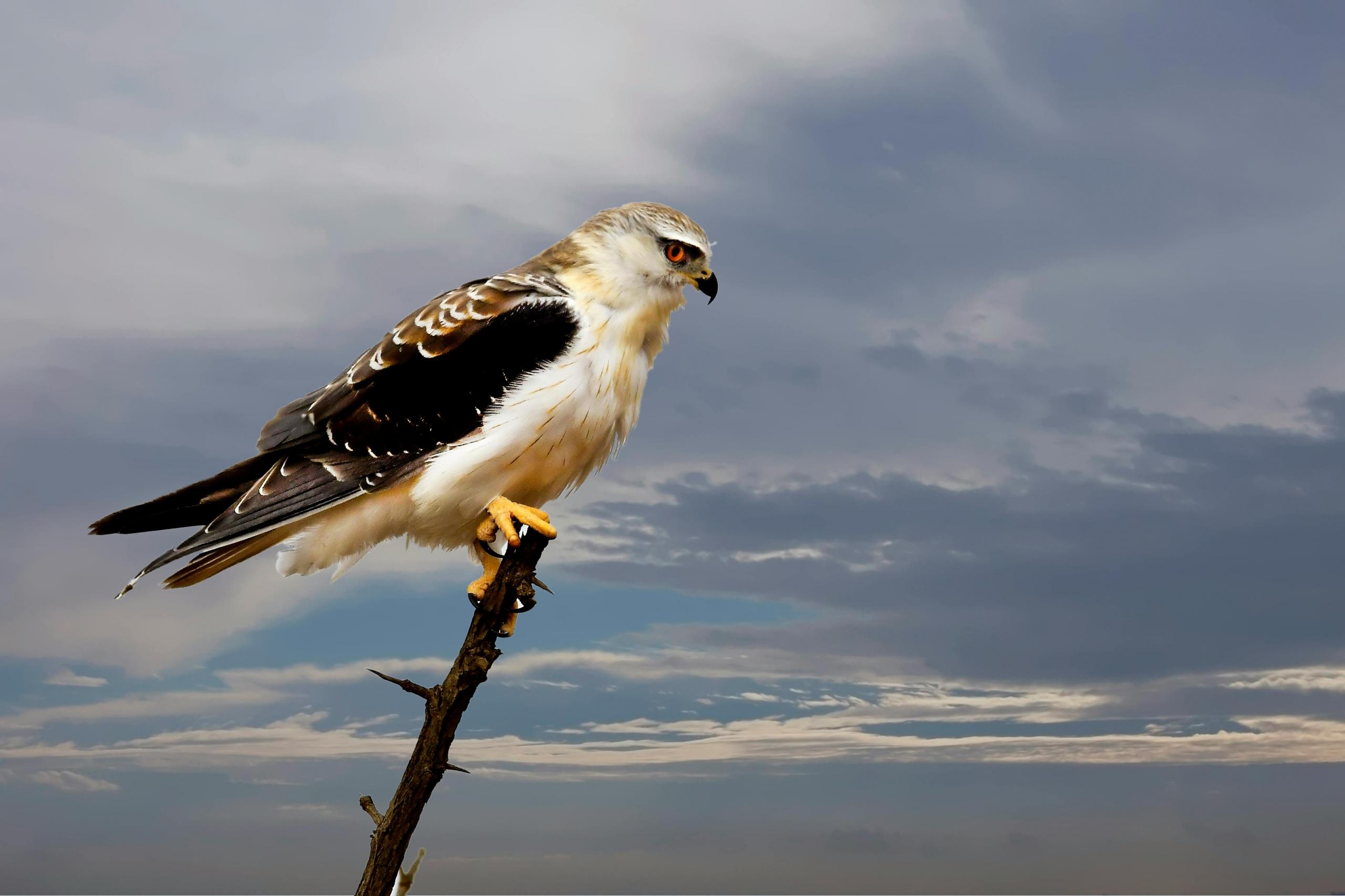 places of interest in Mpumalanga