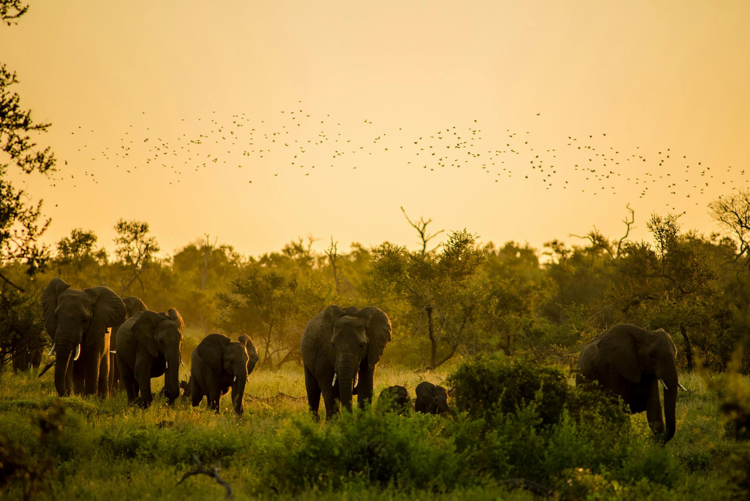 attractions in Mpumalanga