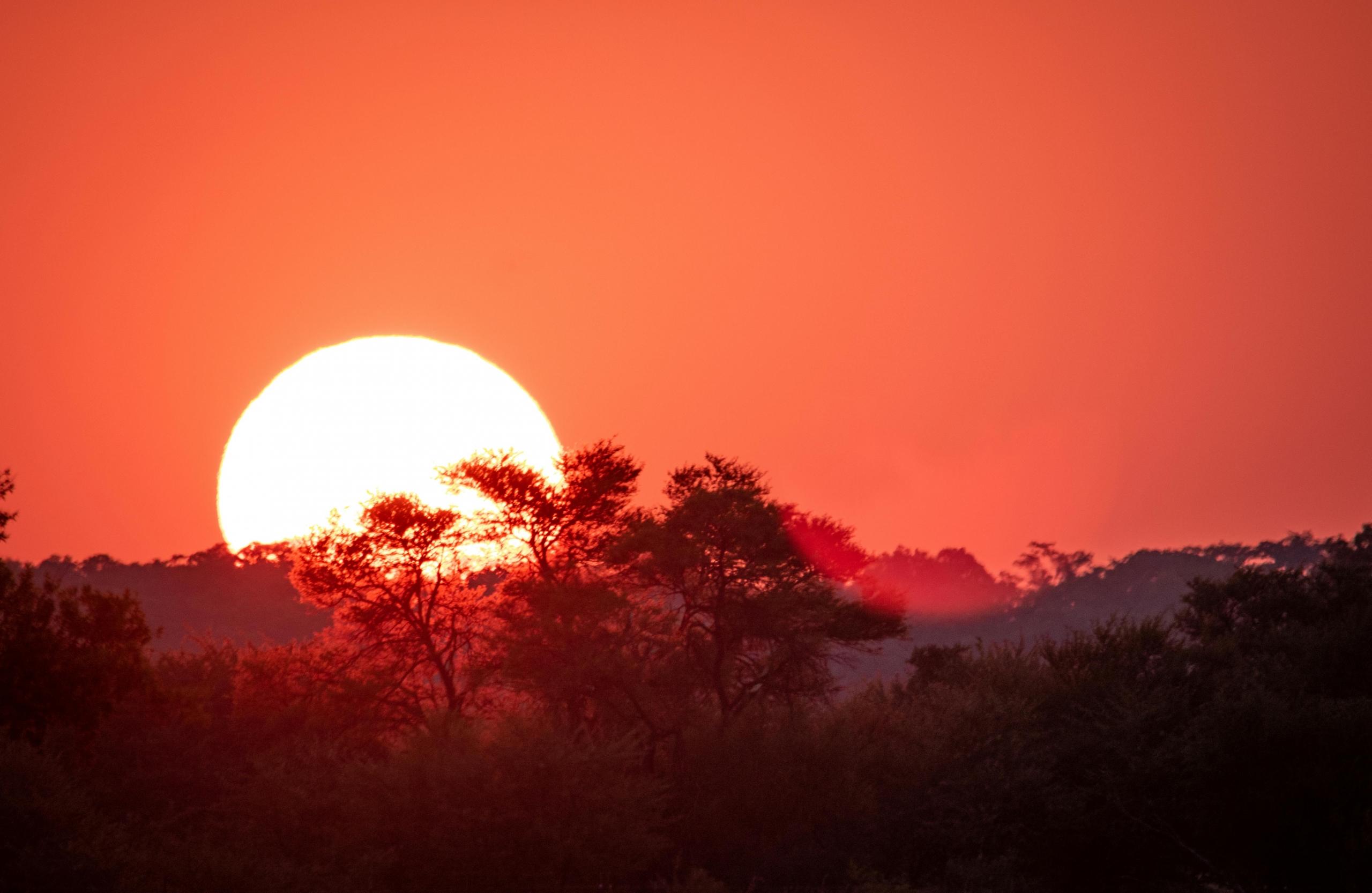 nature images
